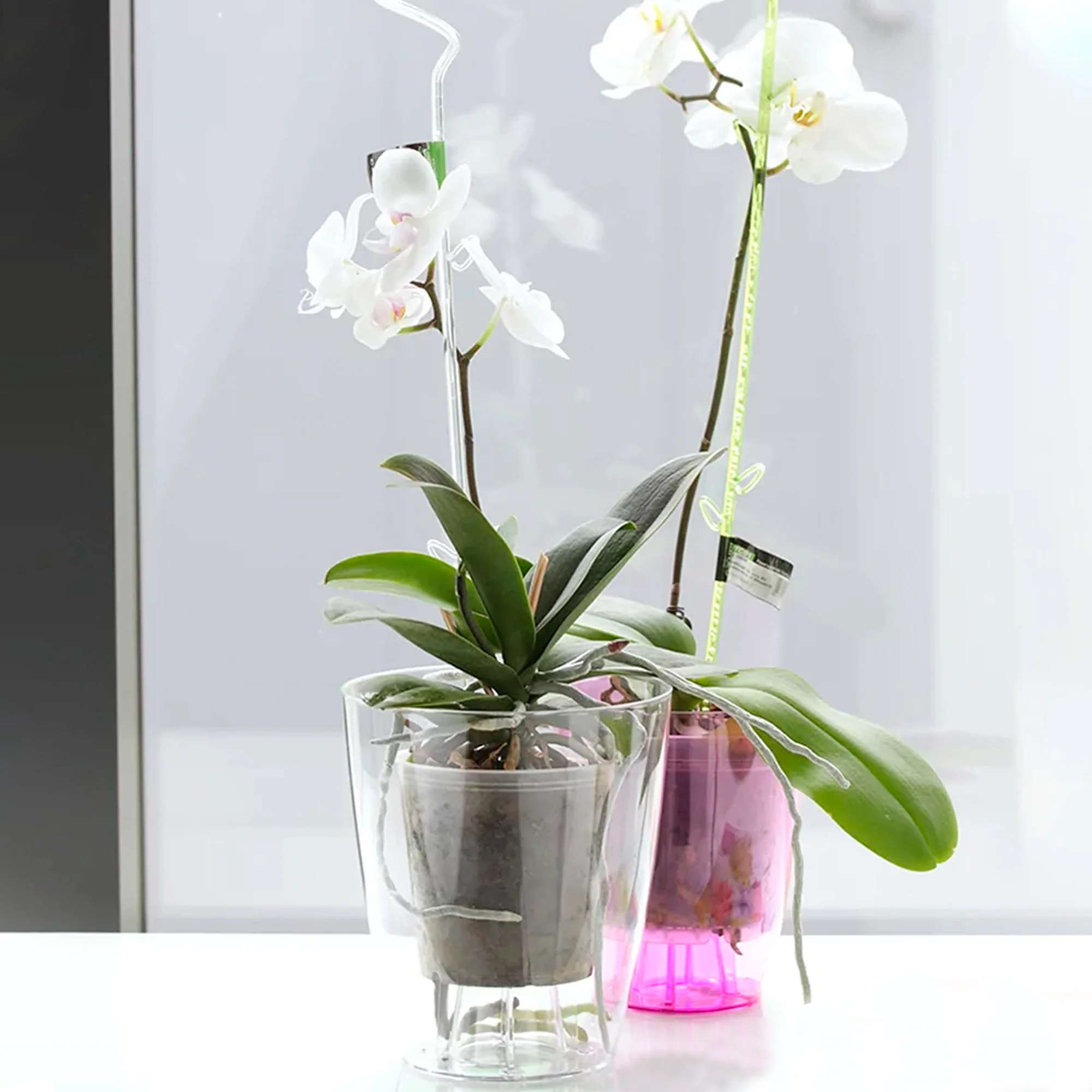 Maceta Coubi Orchid 2,4l., Dimensiones (mm) 160x160x183 - Image 5