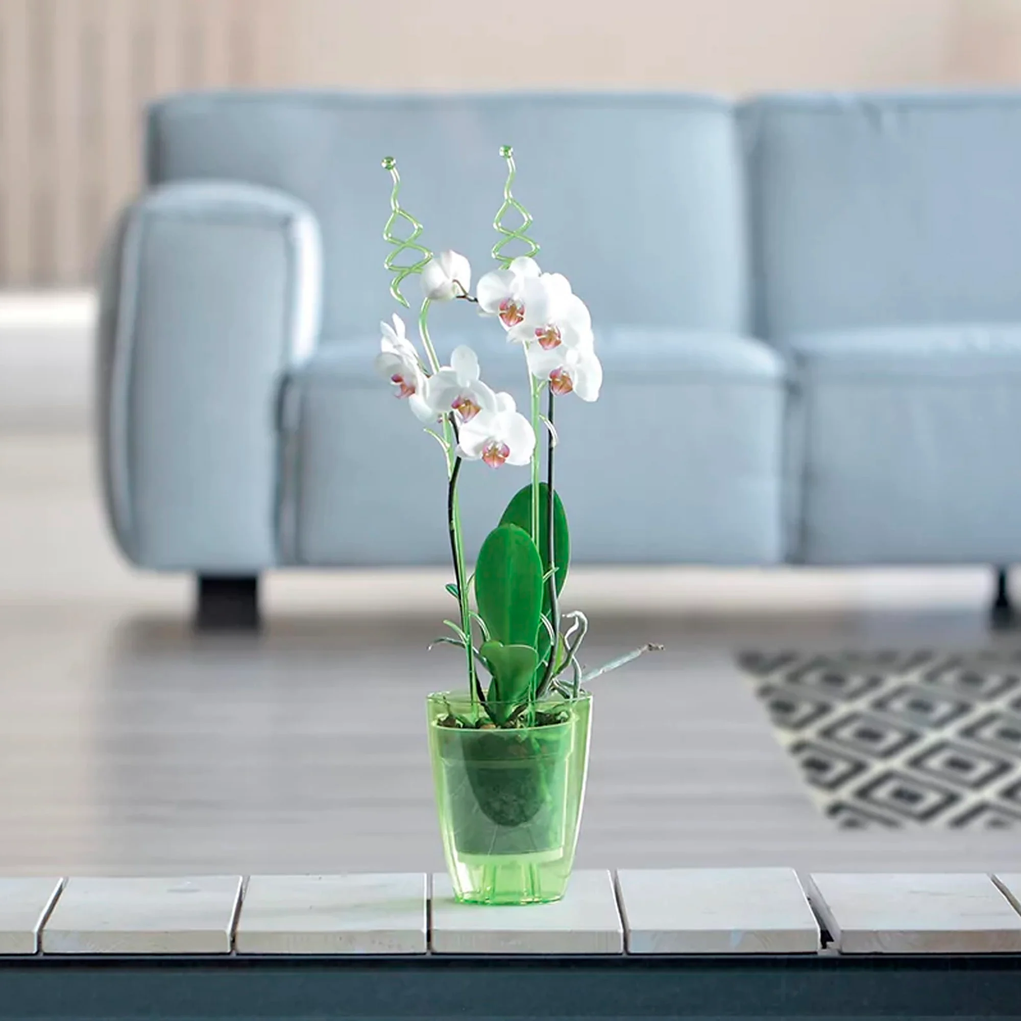 Maceta Coubi Orchid 2,4l., Dimensiones (mm) 160x160x183, Color Verde Transparente - Image 6