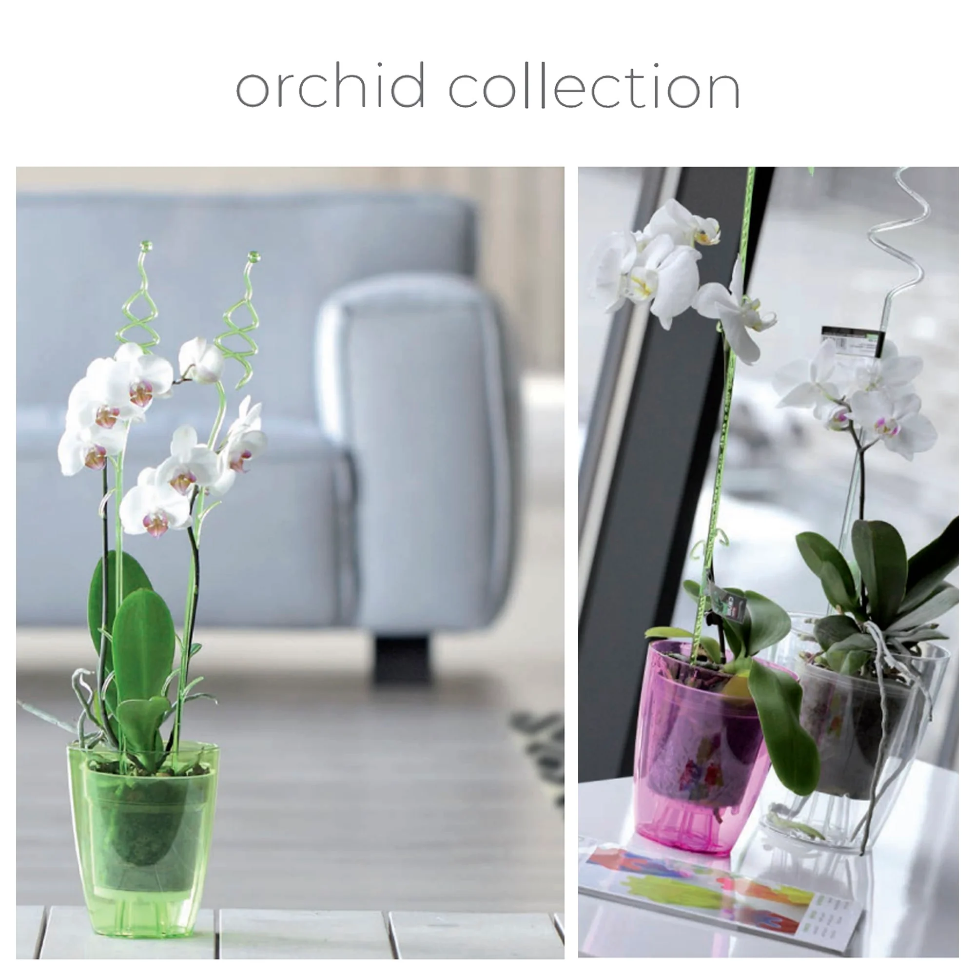 Maceta Coubi Orchid 2,4l., Dimensiones (mm) 160x160x183, Color Verde Transparente Mate - Image 2