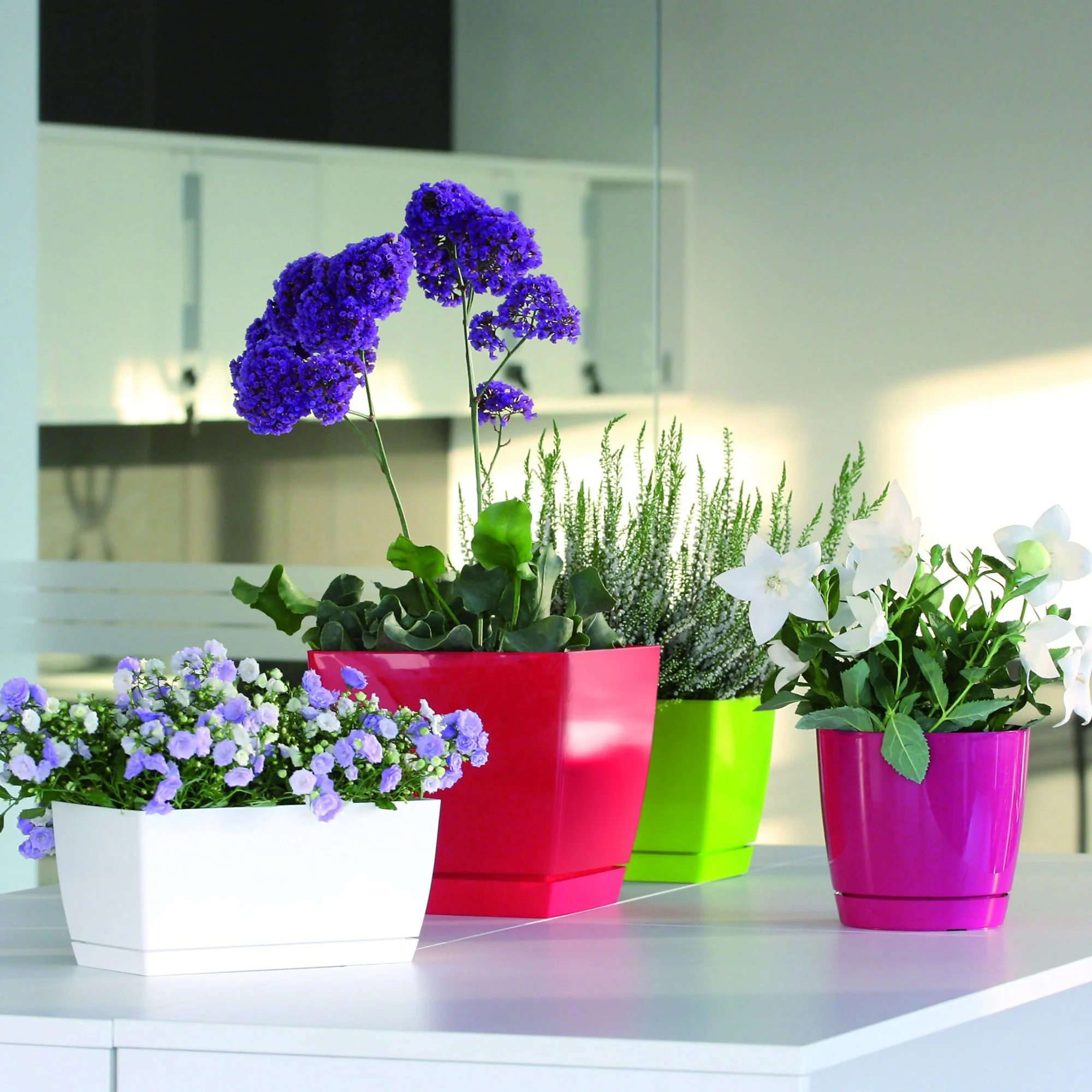 Maceta Mod. Begonya Fresh Quadro Con Plato Incluido 13,5cm. Blanco - Image 3