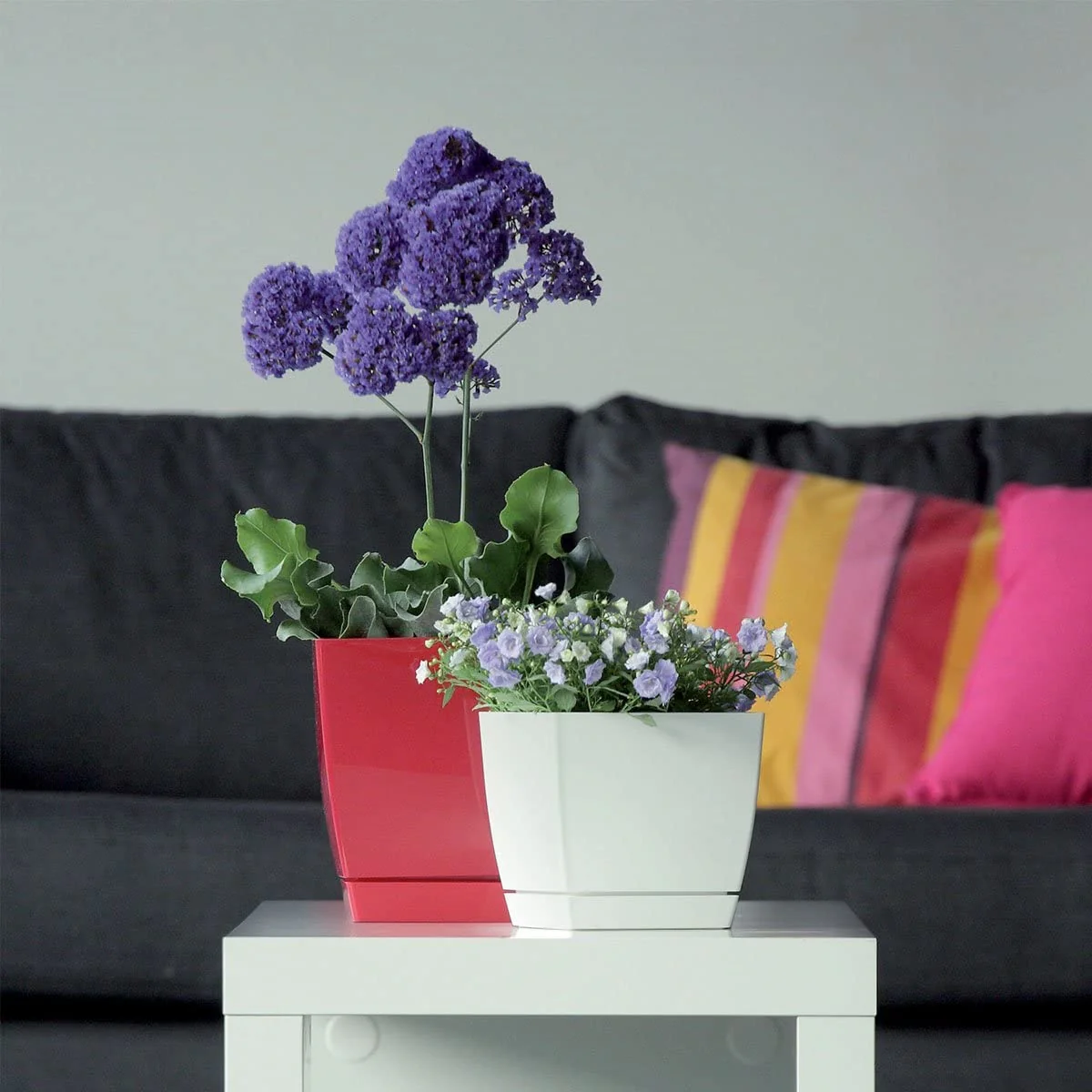 Maceta Mod. Begonya Fresh Quadro Con Plato Incluido 13,5cm. Blanco - Image 4