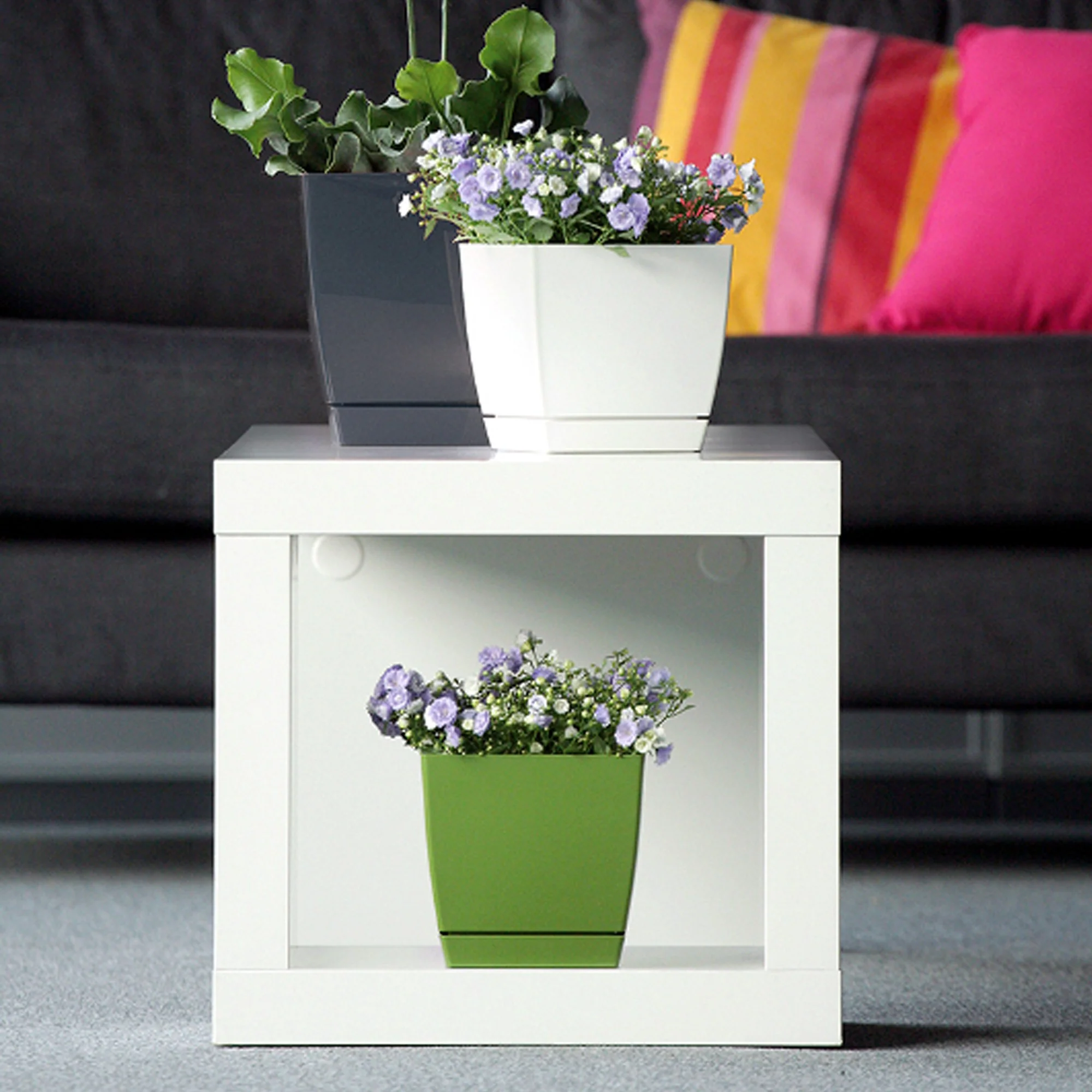 Maceta Mod. Begonya Fresh Quadro Con Plato Incluido 13,5cm. Blanco - Image 5