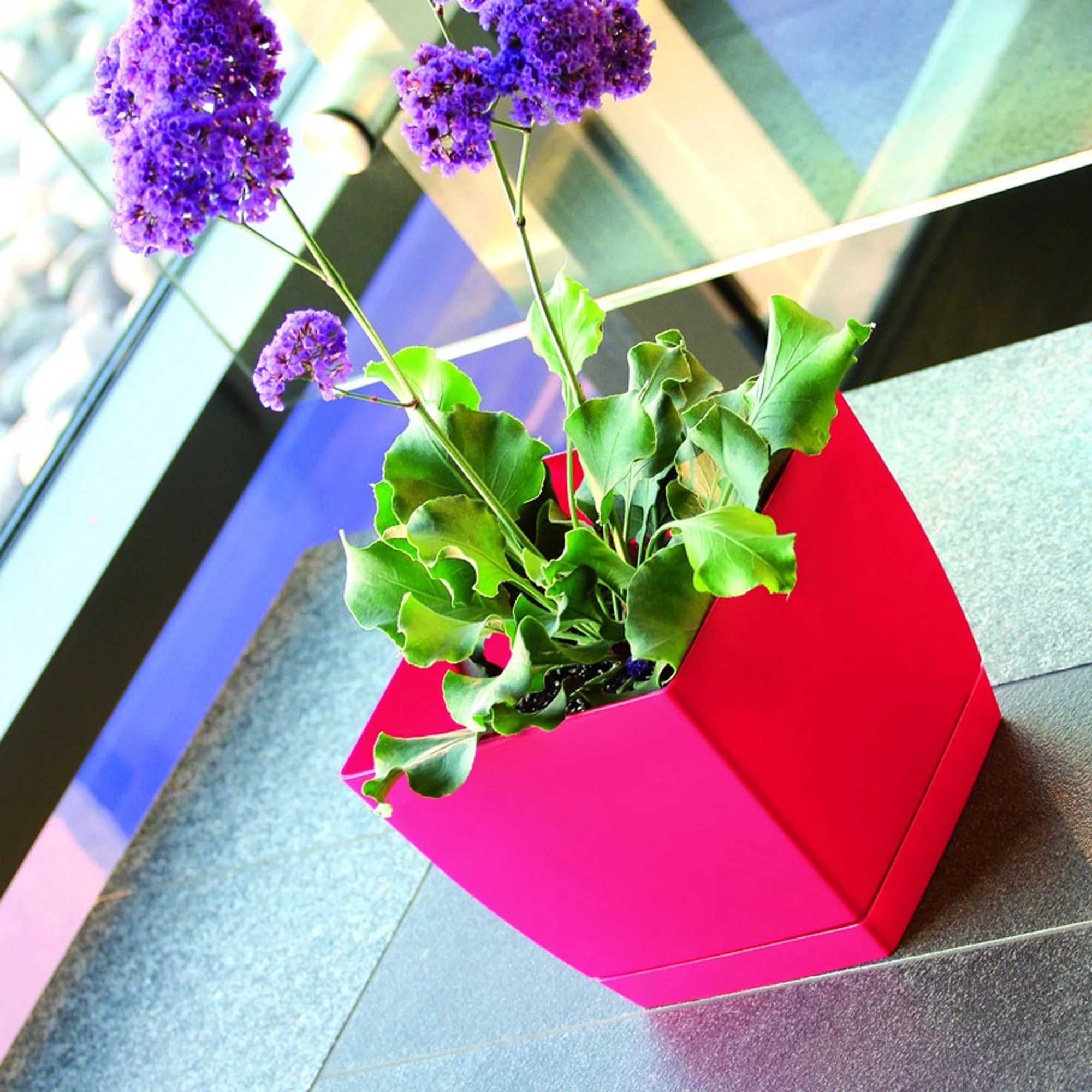 Maceta Mod. Begonya Fresh Quadro Con Plato Incluido 13,5cm. Blanco - Image 6