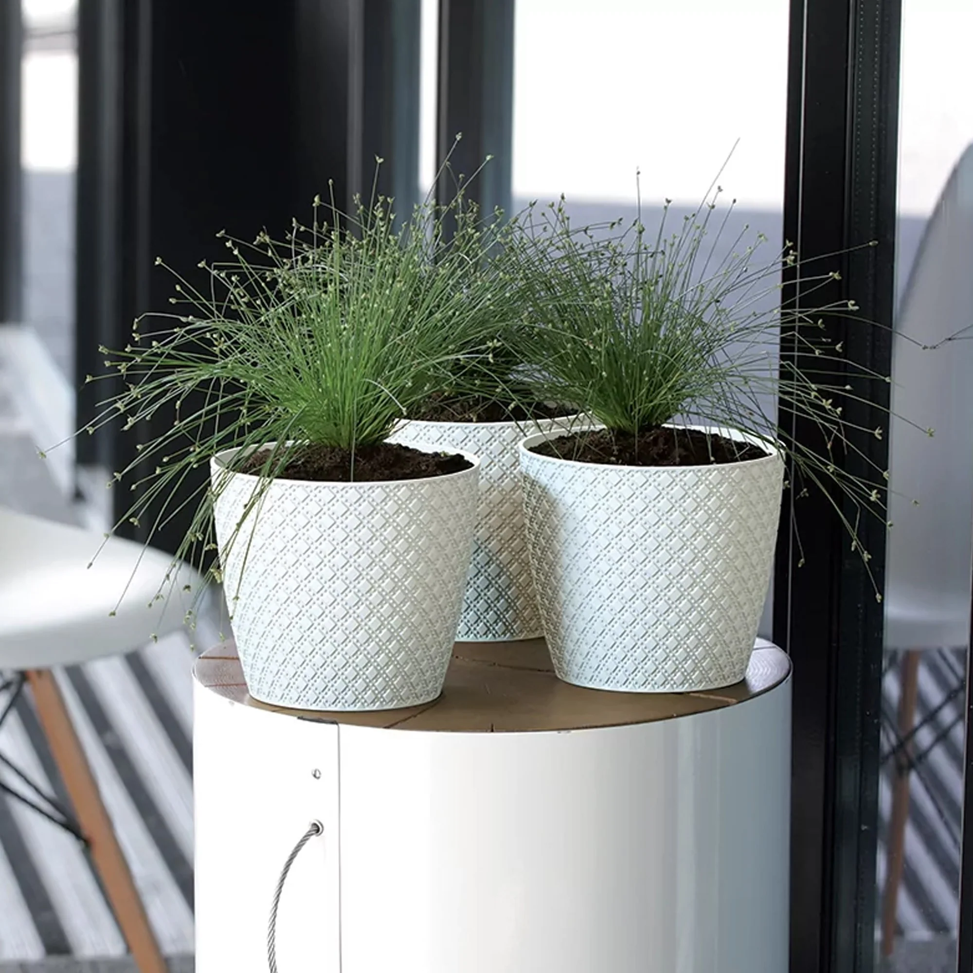 Maceta Orient 2l., Dimensiones (mm) 157x157x138, Color Gris Piedra - Image 4