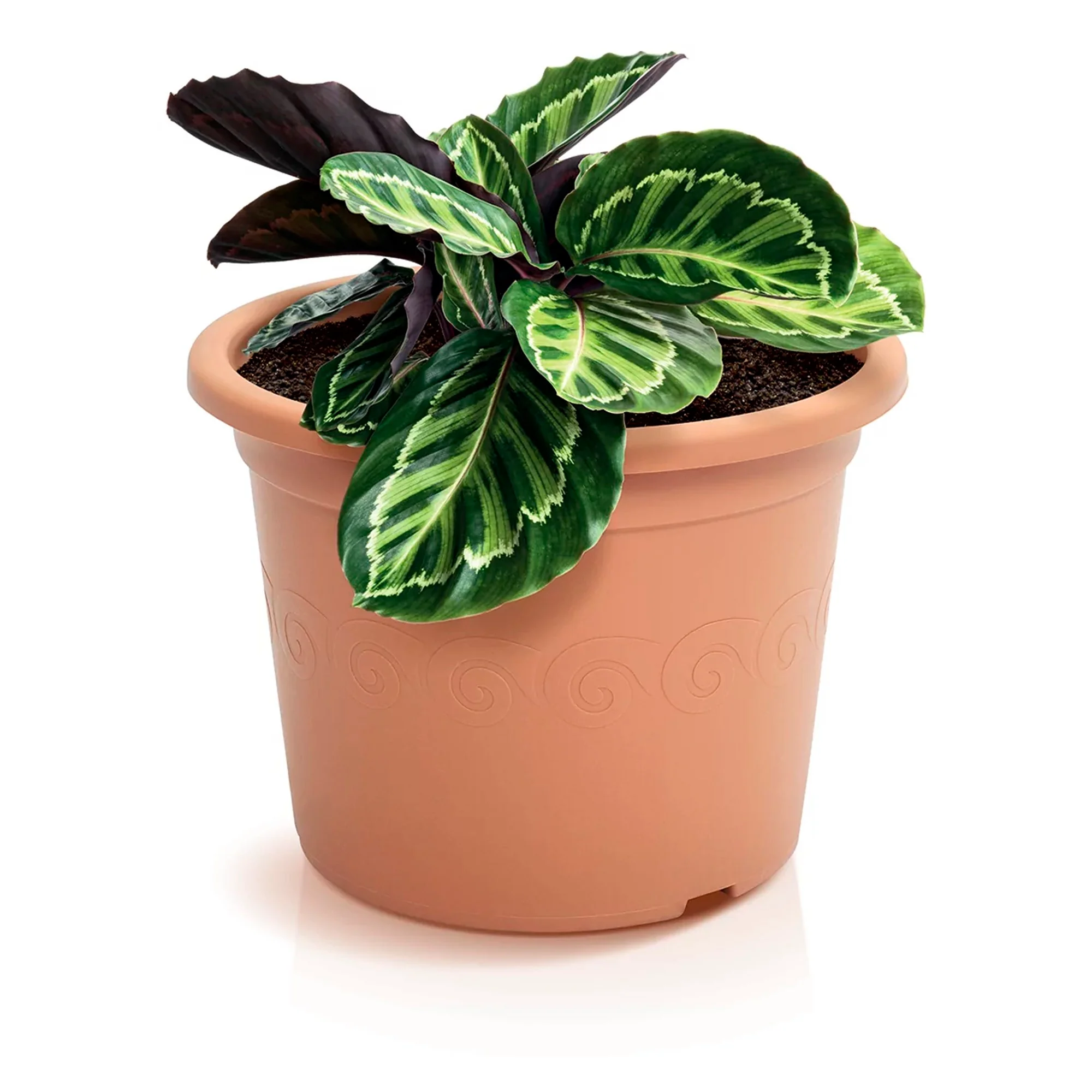 Maceta Plastica 3,5l., Dimensiones (mm) 230x230x174, Color Terracota - Image 4