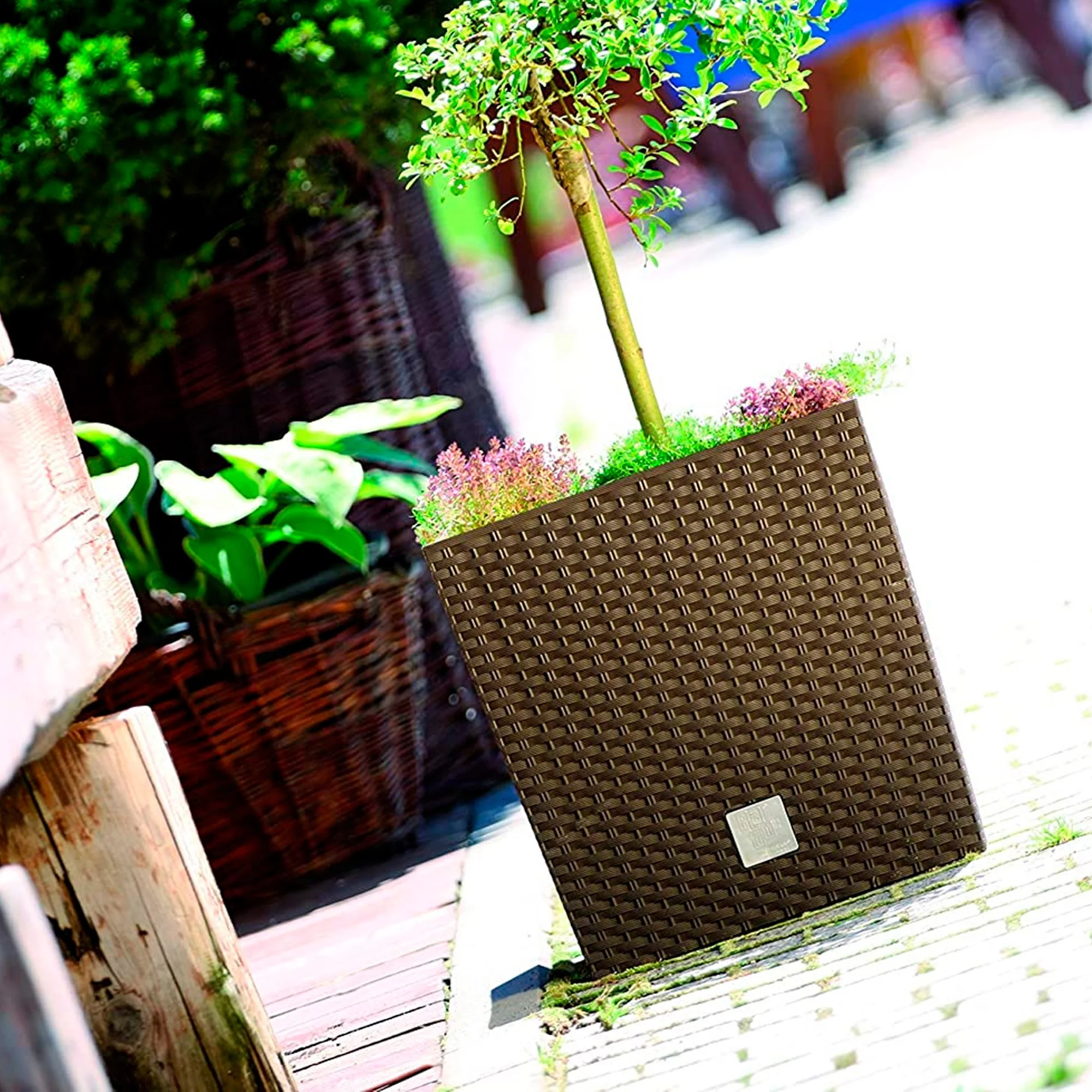 Maceta Rato 32 Litros Con Cubilete Para Plantar En Color Chocolate 33 X 33 X 33 Cm. - Image 6