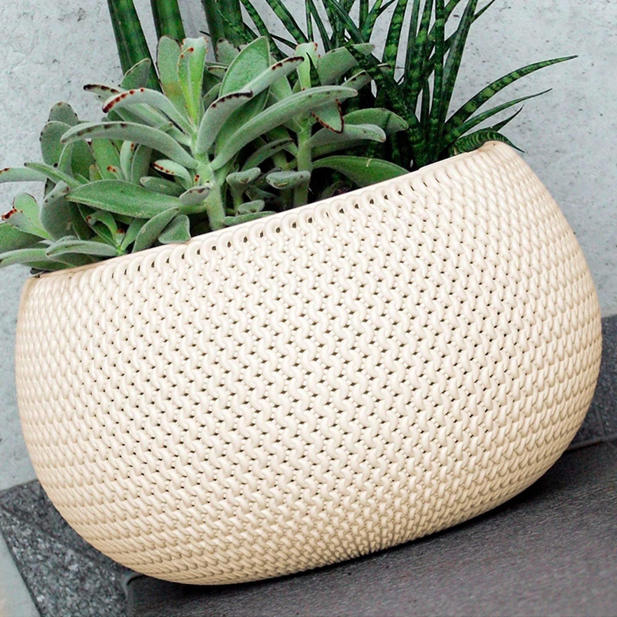 Maceta Redonda Con Deposito Splofy Bowl De Plastico En Color Mocca 29 (largo) X 29 (ancho) X 19 (altura) Cm - Image 6