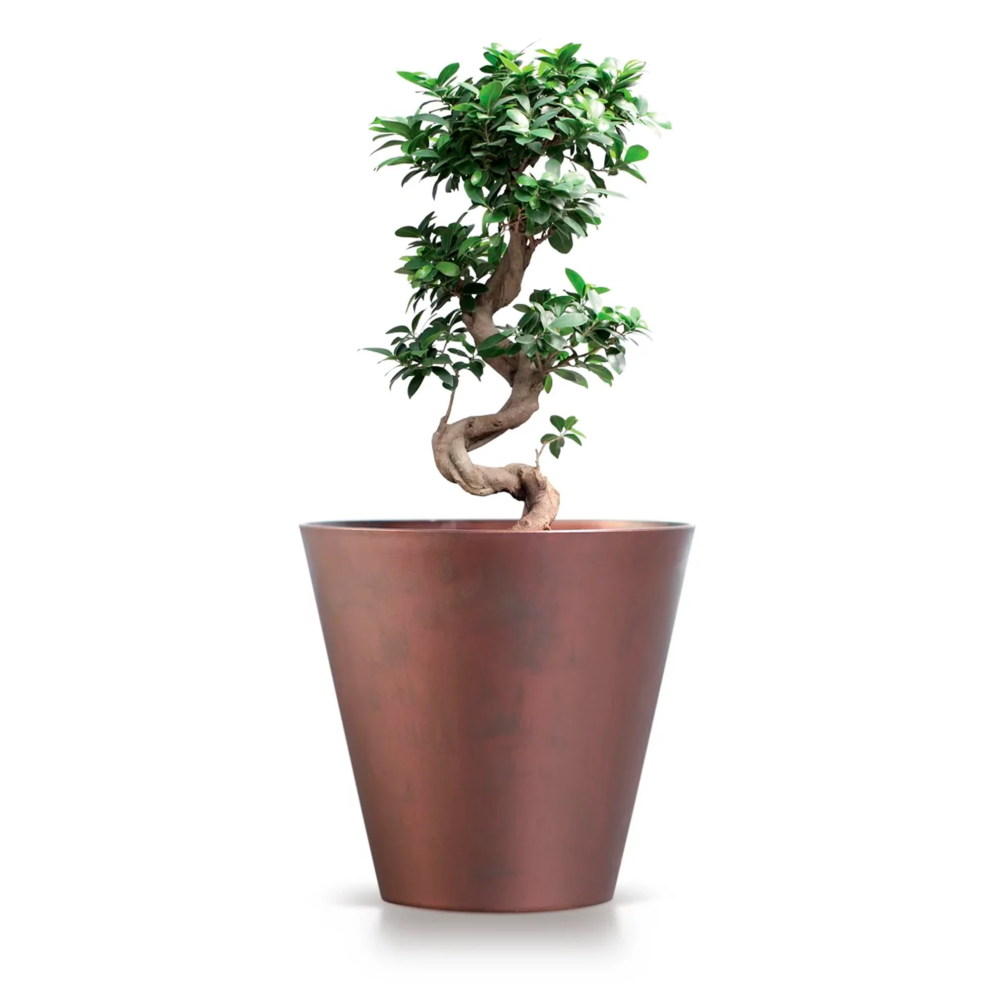 Maceta Tubus Corten 28,5l., Dimensiones (mm) 400x400x373, Color Cobre - Image 4