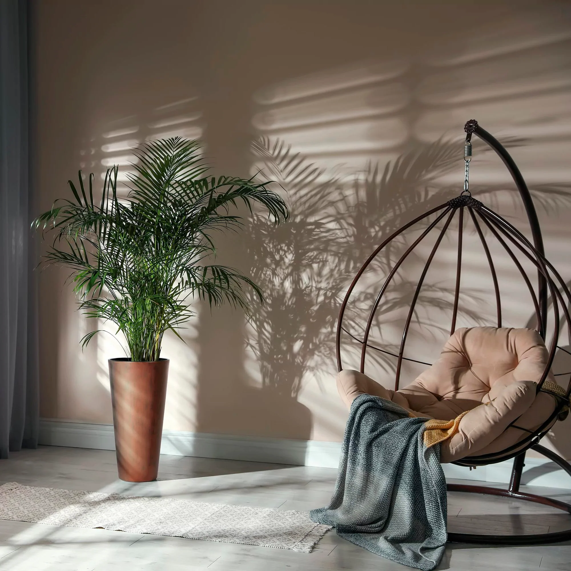 Maceta Tubus Slim Corten 15,5l., Dimensiones (mm) 250x250x476, Color Cobre - Image 4