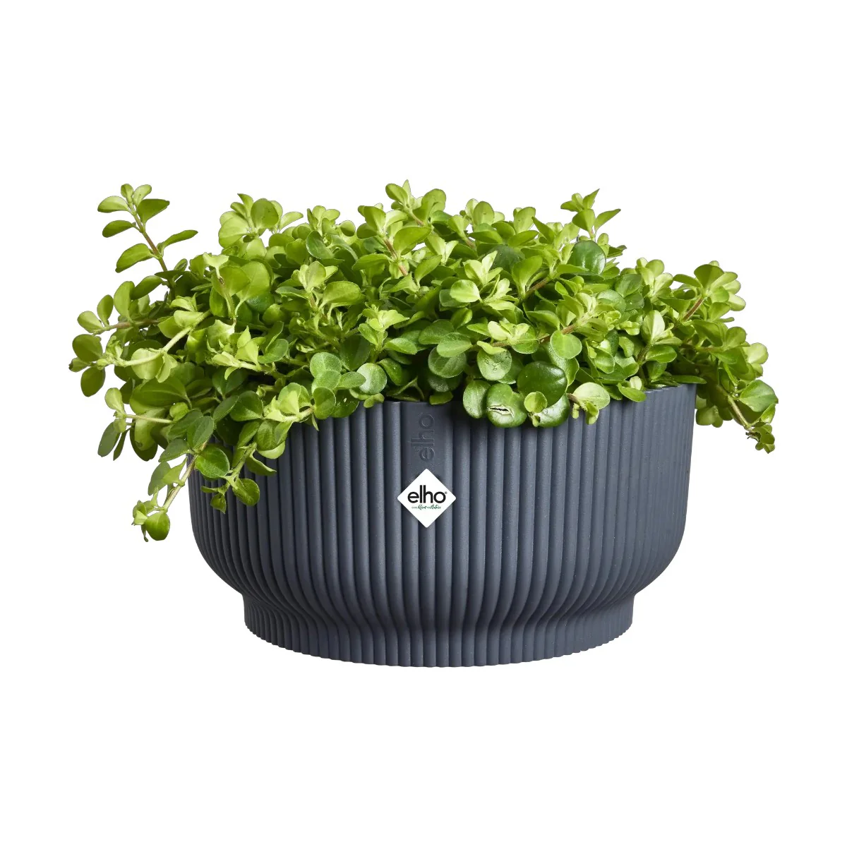 Maceta Antracita Vibes Fold Bowl Elho 25cm 100% reciclado - Image 2