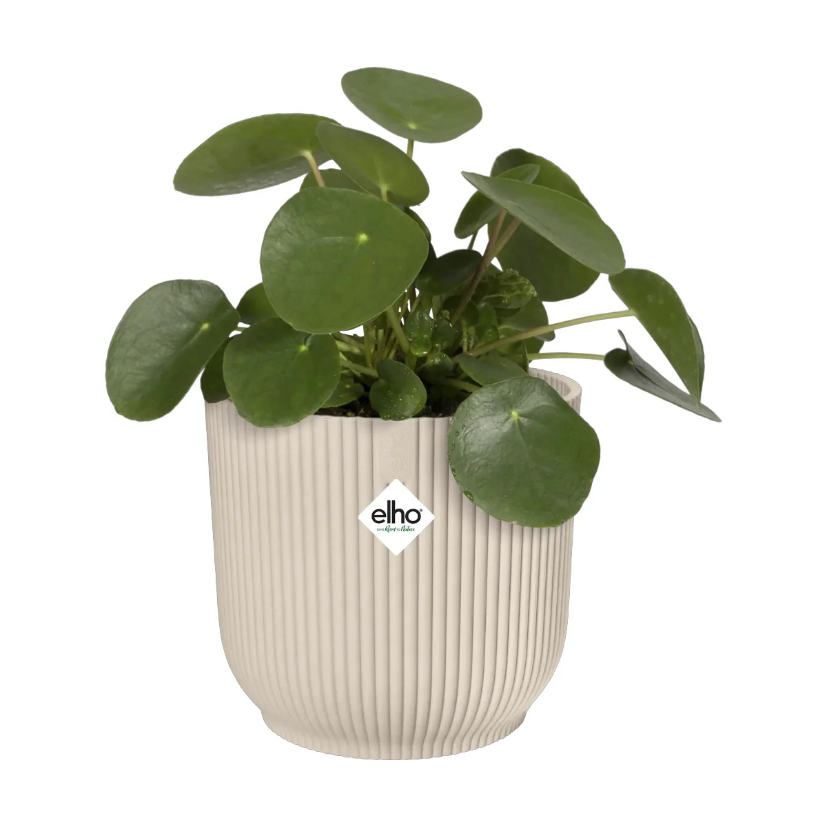 Maceta Blanco Lino Vibes Fold Round Elho 14cm 100% reciclado - Image 2
