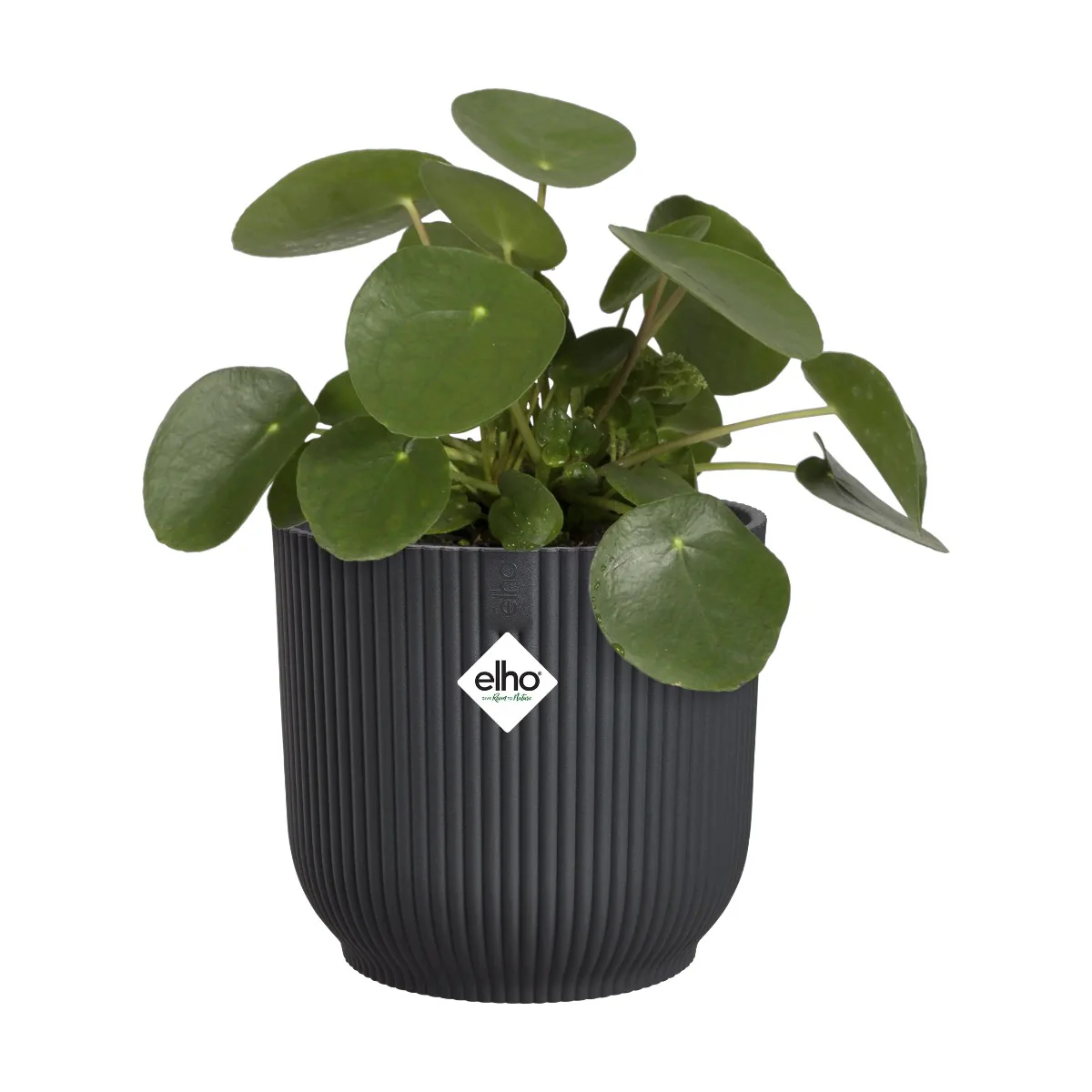 Maceta Antracita Vibes Fold Round Elho 18cm 100% reciclado - Image 2