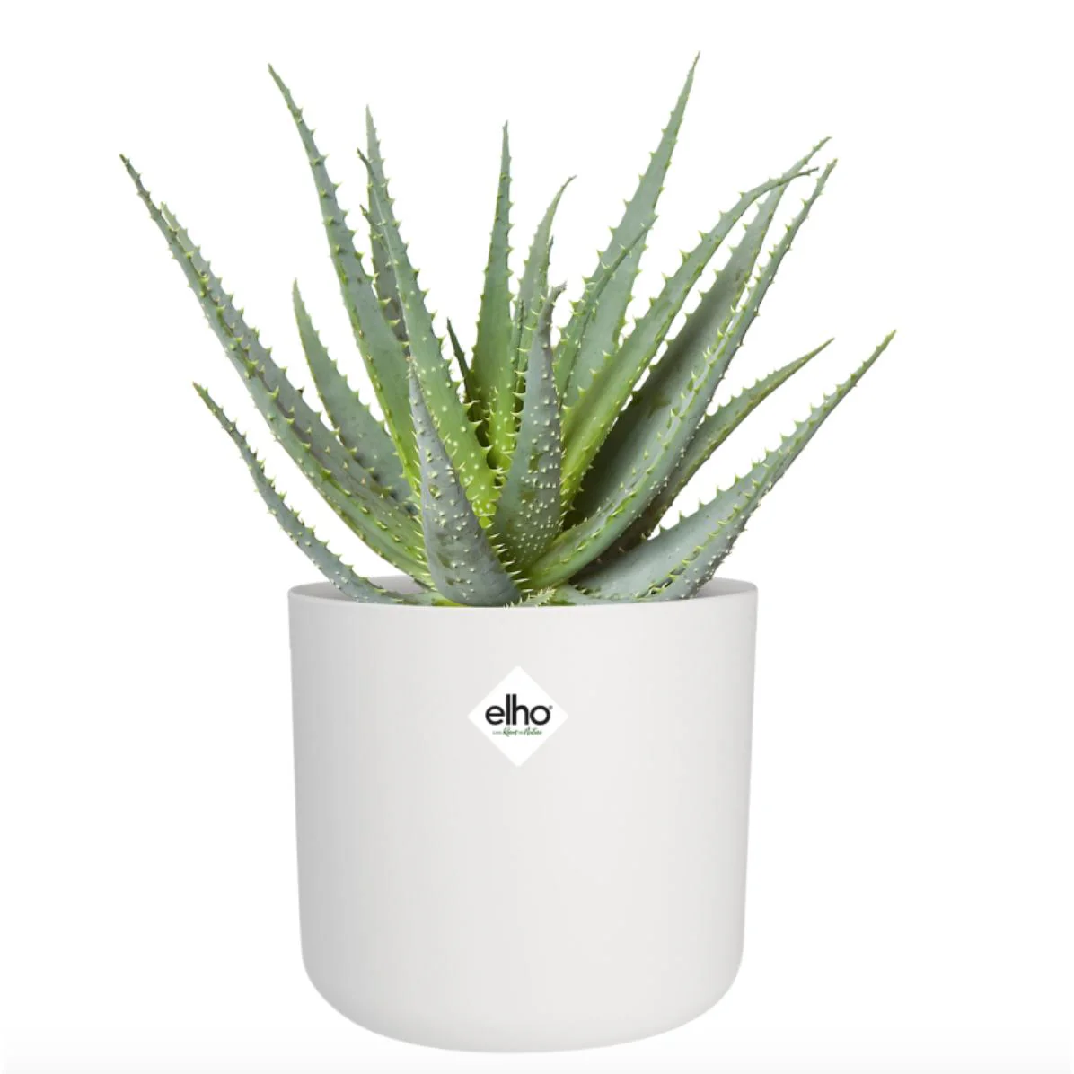 Macetero B.for Soft Round Elho Blanco 25 cm - Image 3