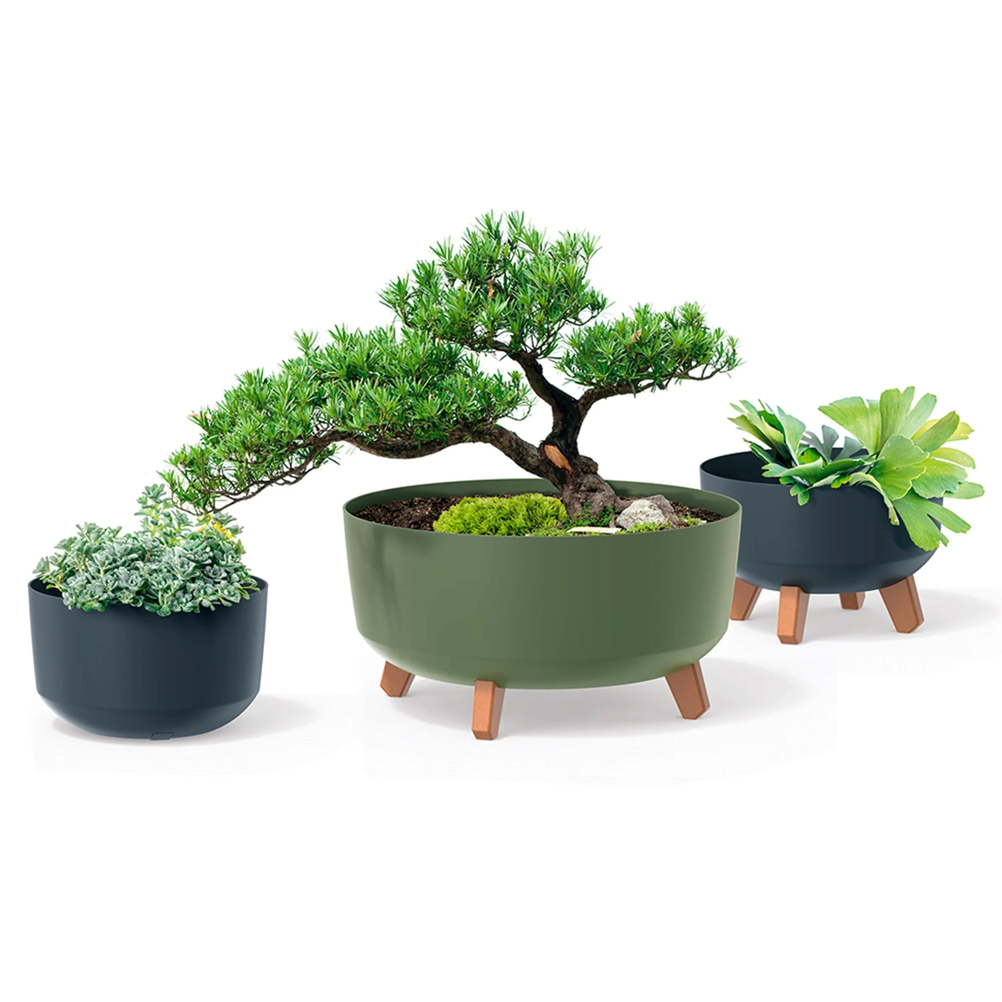 Macetero Color Café,sin Depósito , Colección Gracia De 23,5 X 23,5 X 18,7 Cm, Capacidad De 5,1 L. - Image 6