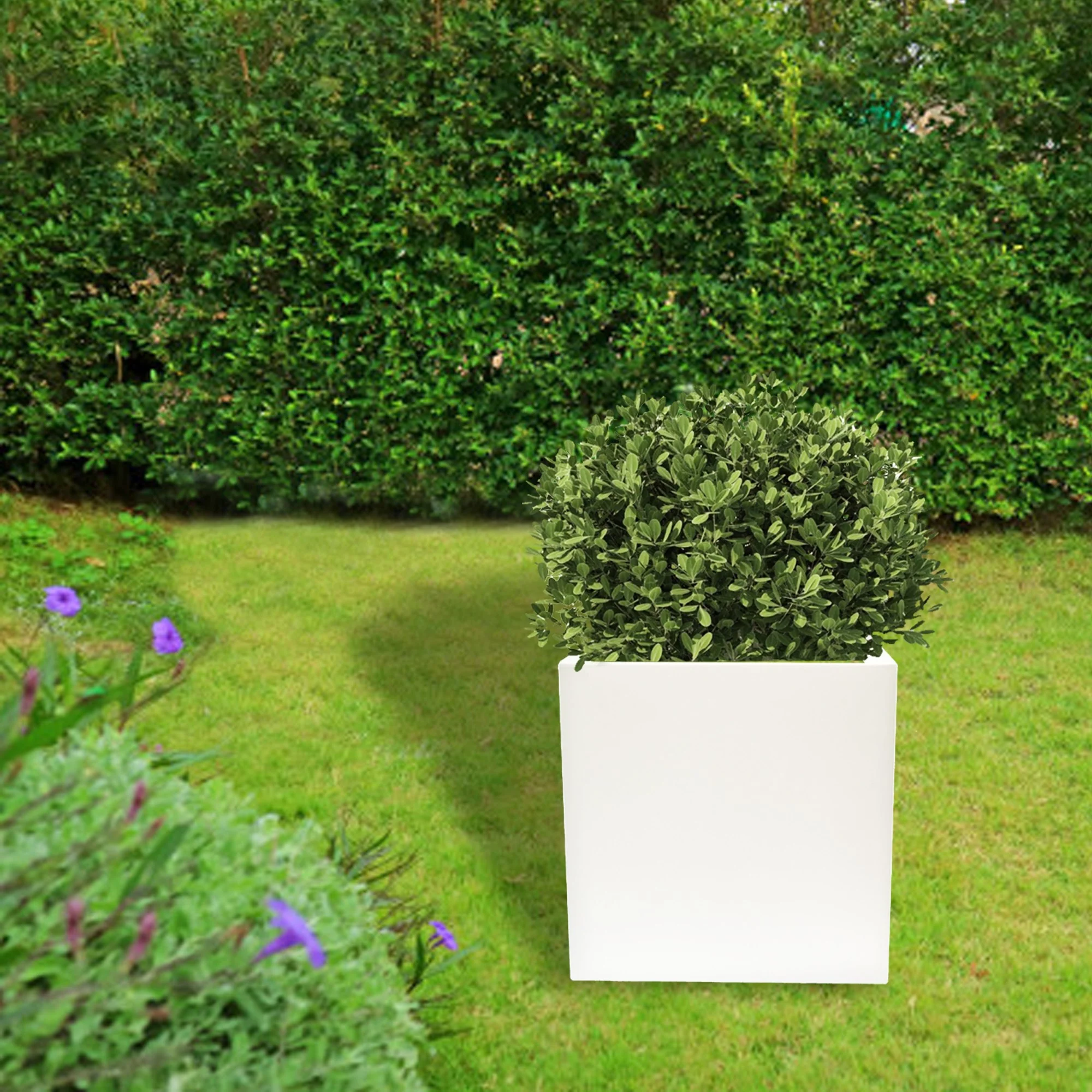 Macetero De Polietileno Blanco 50x50 Cm - Image 4