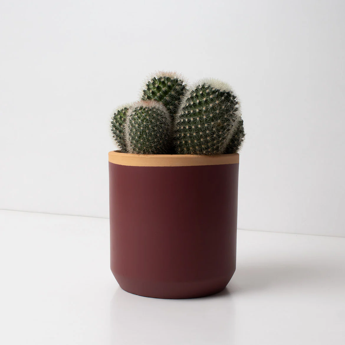 Macetero De Terracota Rojo Ciruela 13 Cm | Hecho A Mano Por Artesanos | Maceta Decorativa Para Plantas Interior - Image 2