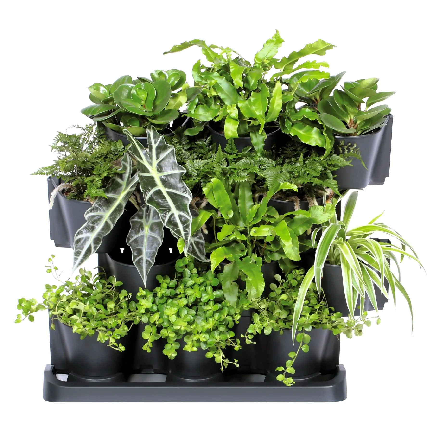 Macetero Vertical Prosperplast Cascade Garden De Plastico En Color Antracita 68,5 (largo) X 19 (ancho) X 54,6 (alto) Cm - Image 2