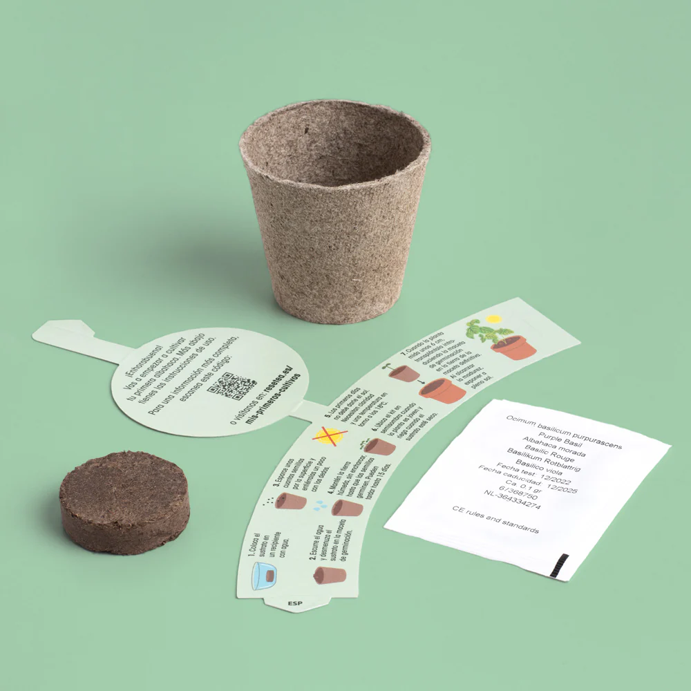 Mi Primer Cultivo De Albahaca | Kit Educativo Stem Para Cultivar Albahaca En Casa - Image 2