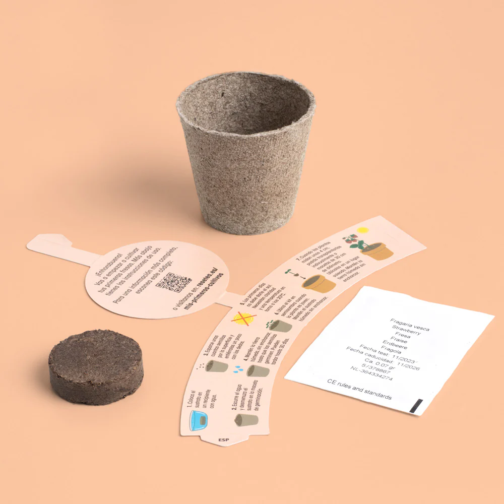 Mi Primer Cultivo De Fresa | Kit Educativo Stem Para Cultivar Fresas En Casa - Image 2