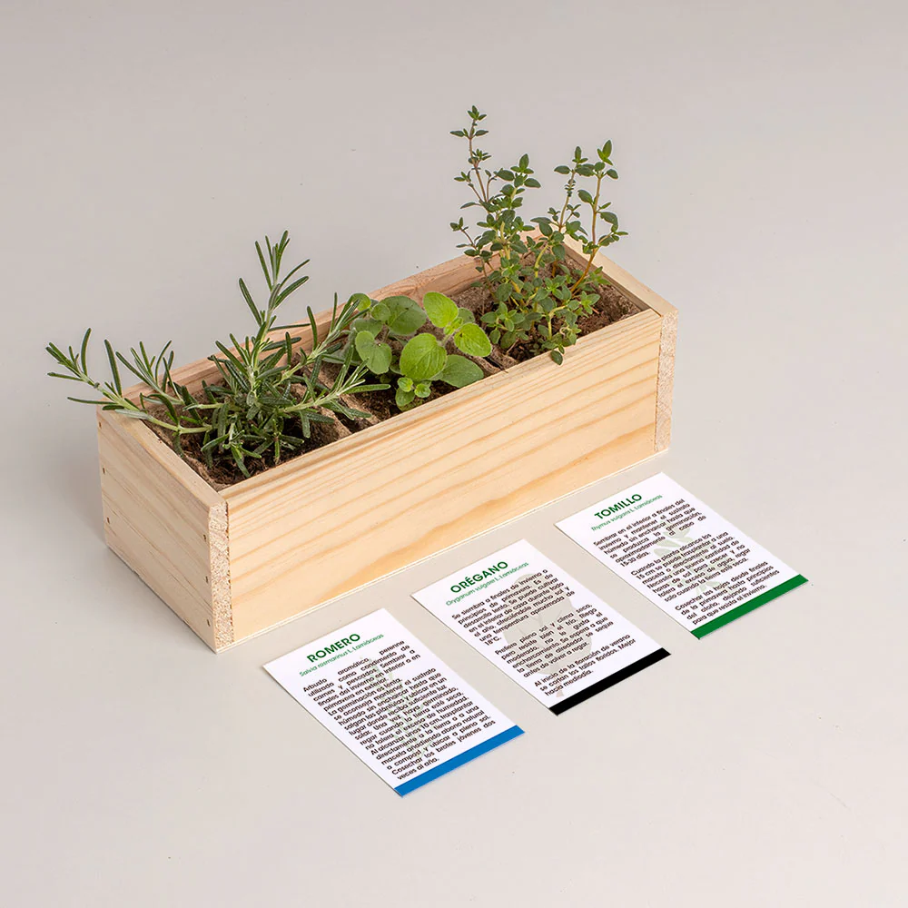 Mini Huerto Mediterráneo | Kit Cultivo Aromáticas (romero, Orégano Y Tomillo) | Huerto Urbano En Casa | Regalo Original - Image 3