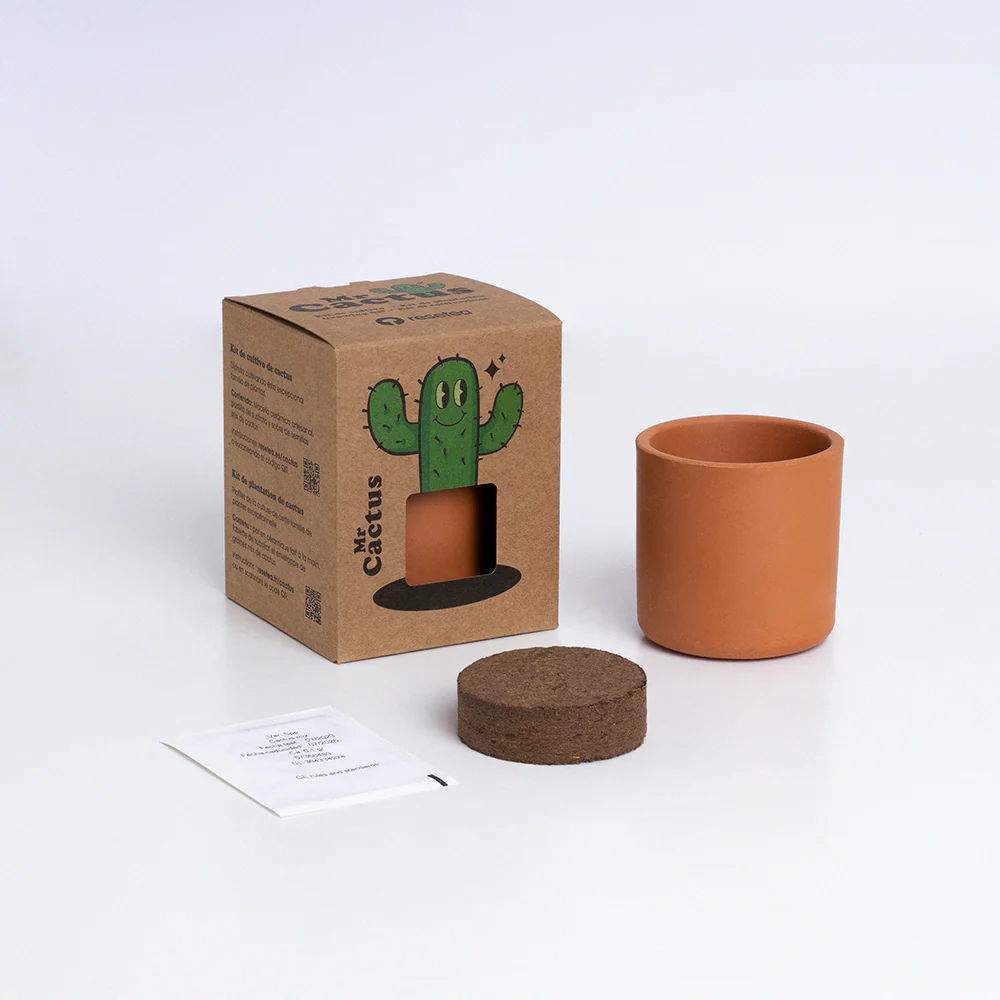 Mr. Cactus | Kit De Cultivo De Cactus Con Maceta De Barro Artesanal - Image 2