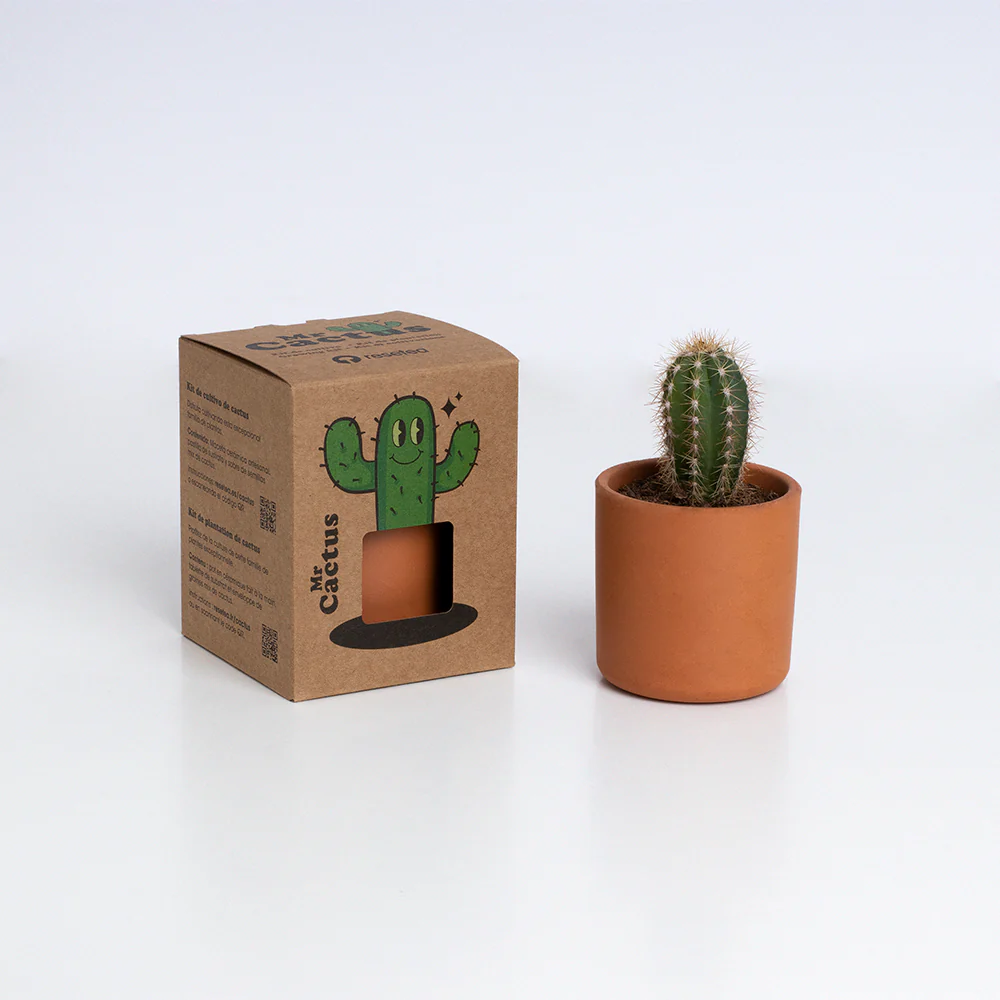 Mr. Cactus | Kit De Cultivo De Cactus Con Maceta De Barro Artesanal - Image 3