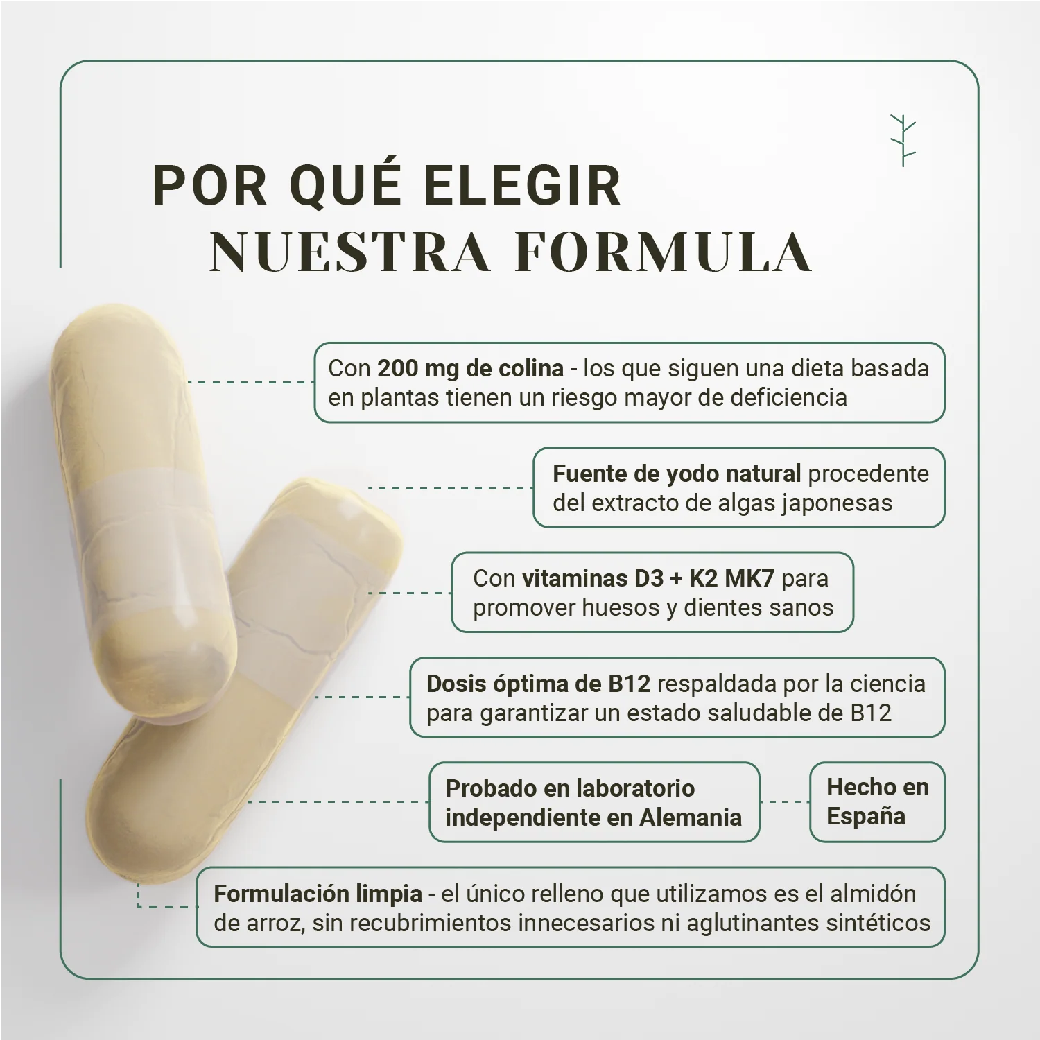 Multivitaminas veganas all-in-one – b12, d3, k2, hierro y zinc para dieta vegana (4 meses) - Image 3