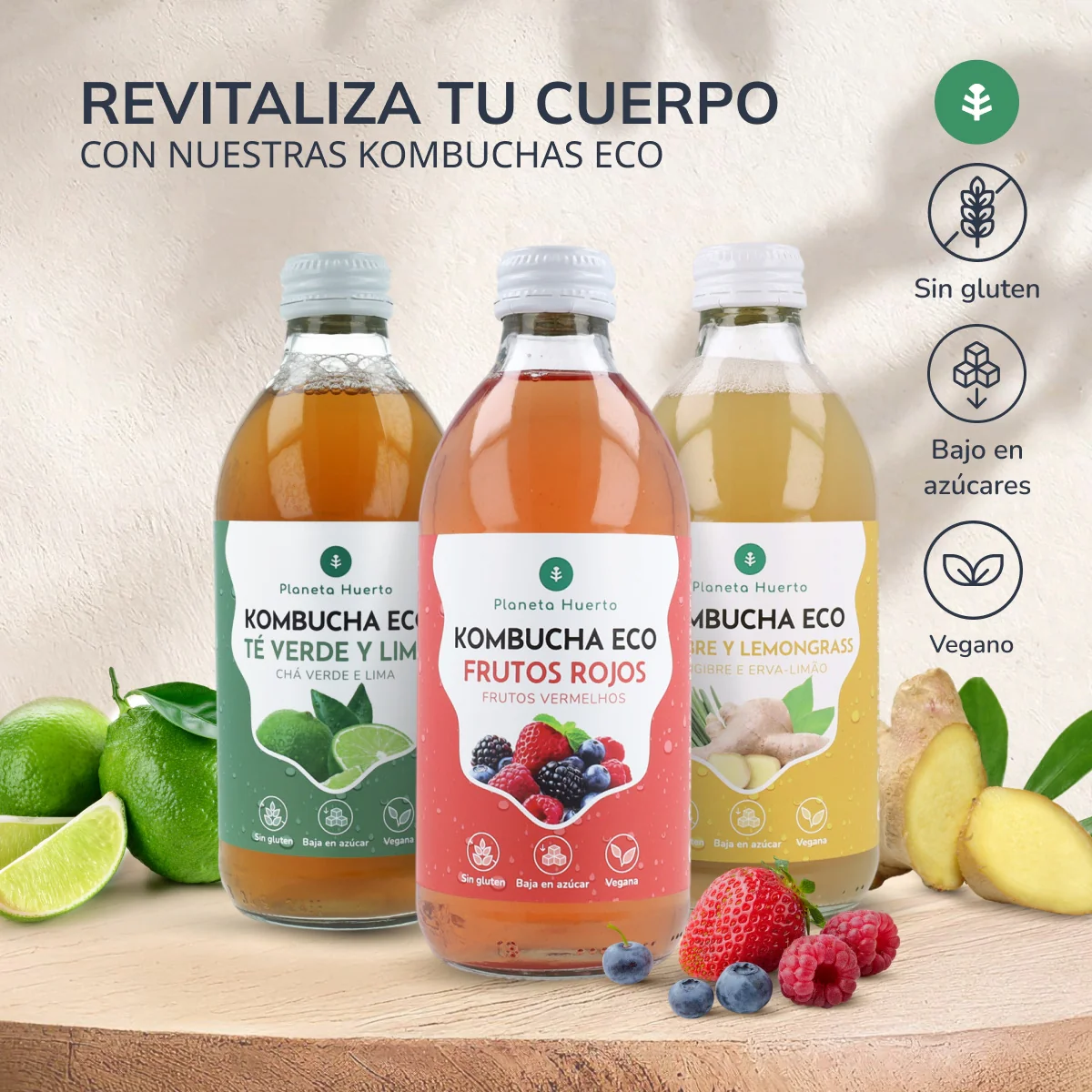 Pack 12x Kombucha ECO Frutos rojos Planeta Huerto 330 ml - Image 7