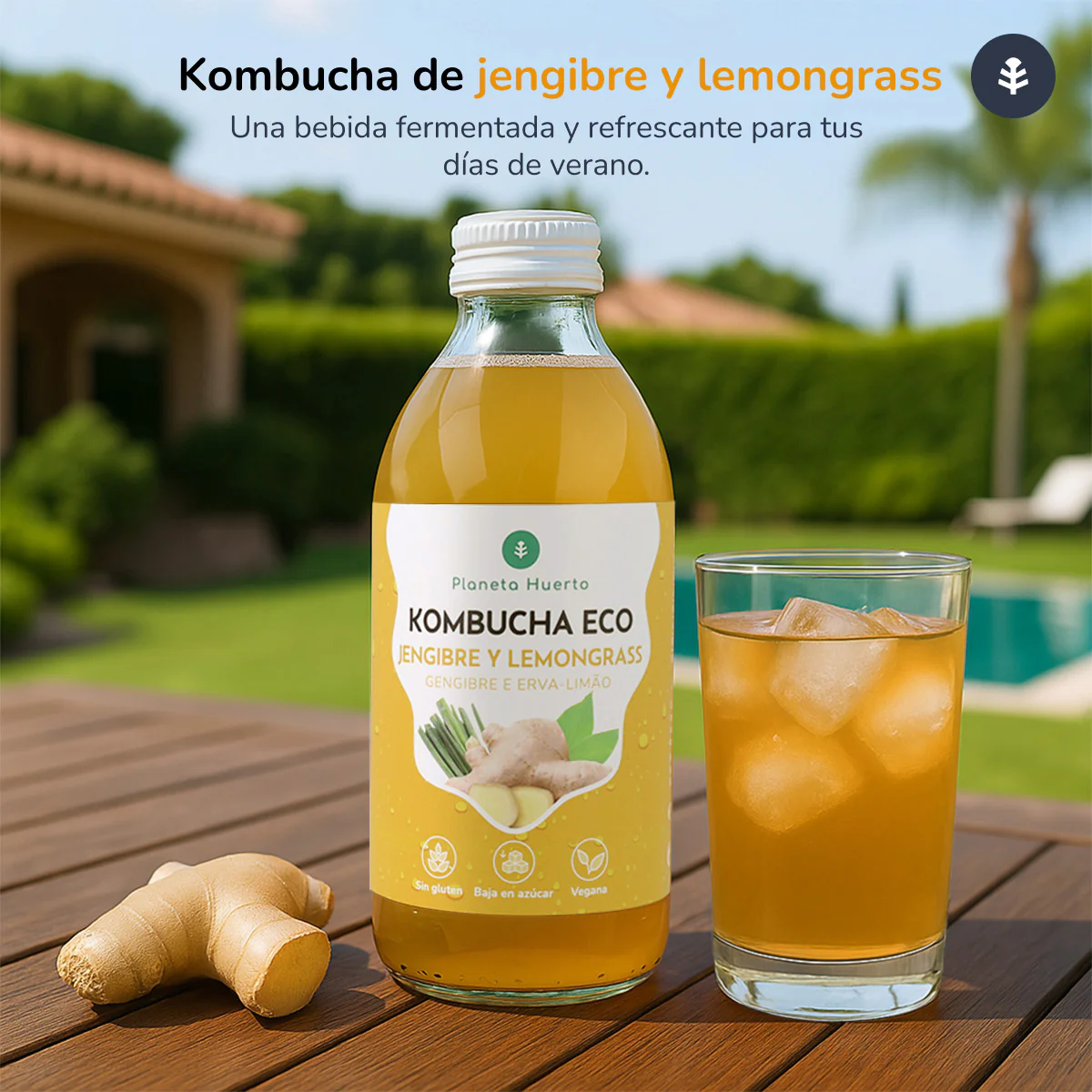 Pack 12x Kombucha ECO Jengibre y lemongrass Planeta Huerto 330 ml - Image 6