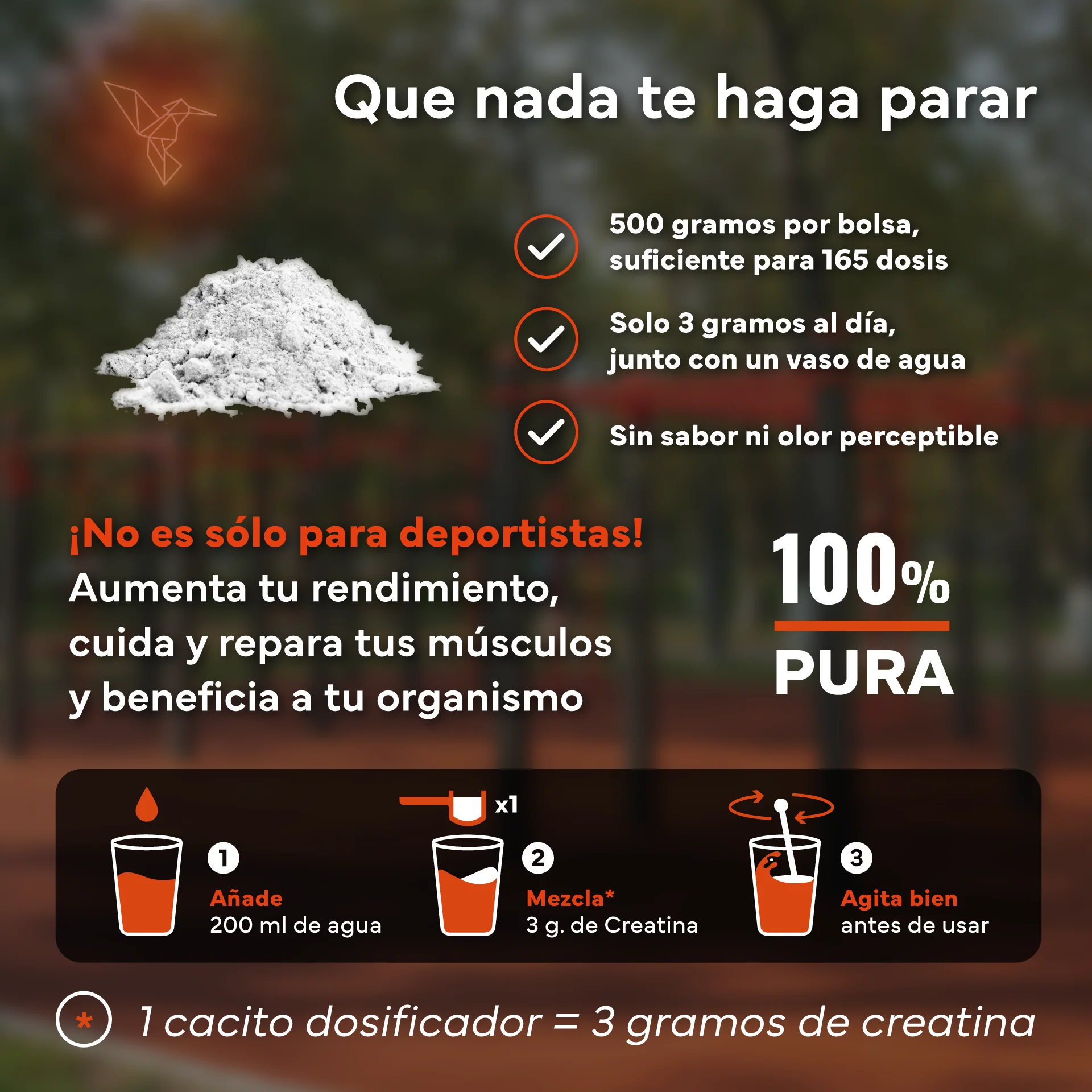 Pack 2x Creatina Monohidratada Sevens Nutrition. Más Fuerza, Energía Y Resistencia. - Image 5