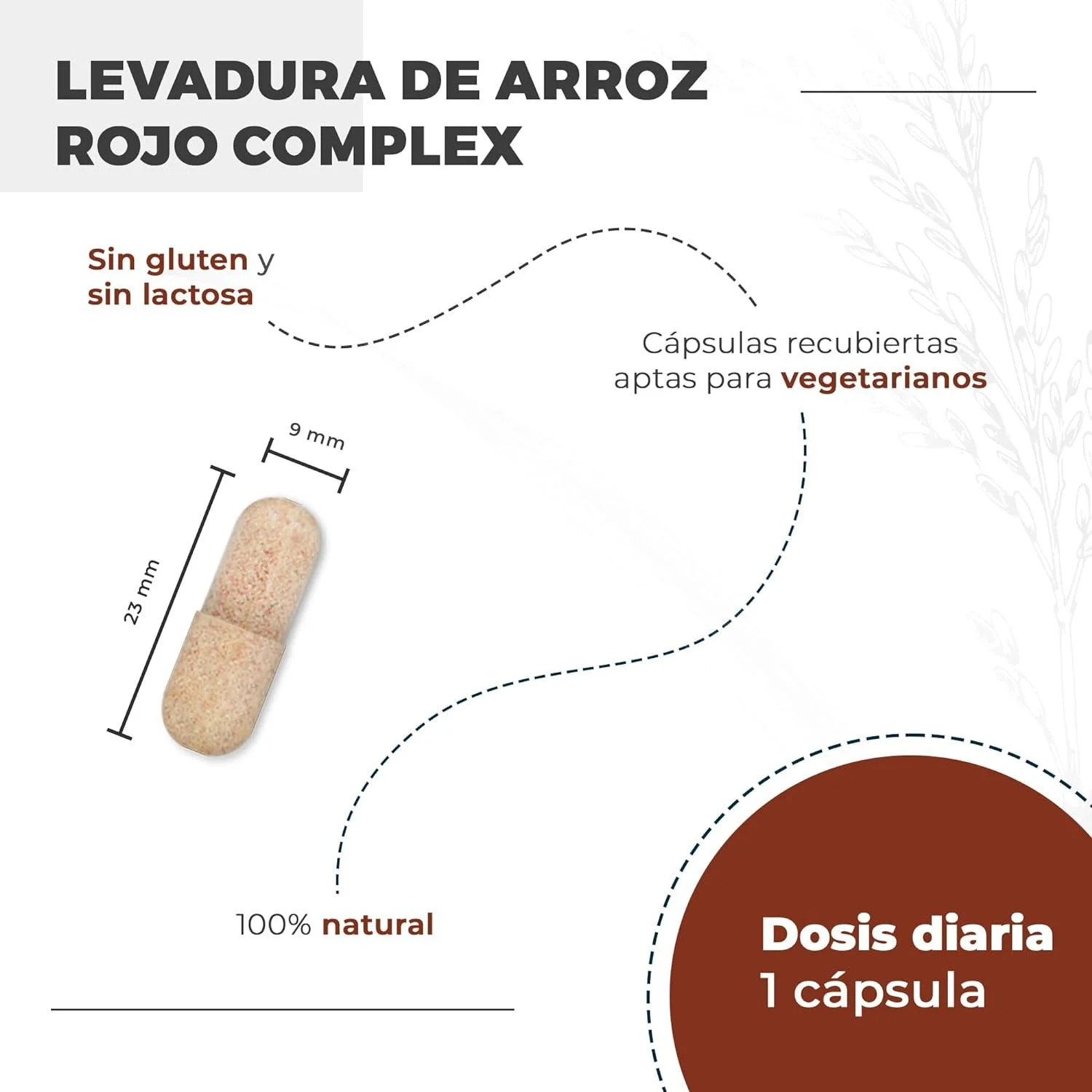 Pack 2x Nutralie Levadura de Arroz Rojo con 2,9mg Monacolina y Q10 90 Cápsulas - Image 4