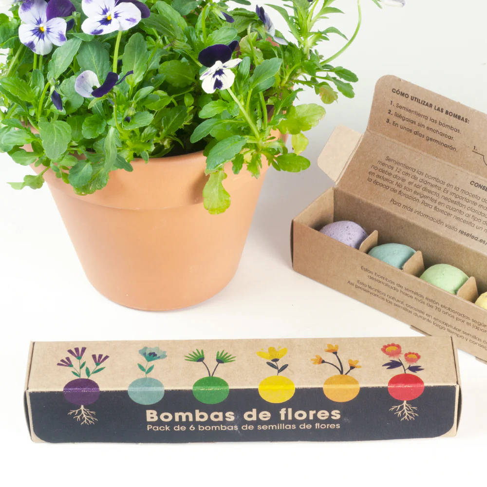 Pack 6 Bombas De Semillas – Flores Silvestres | Regalo Original Y Sensorial - Image 2