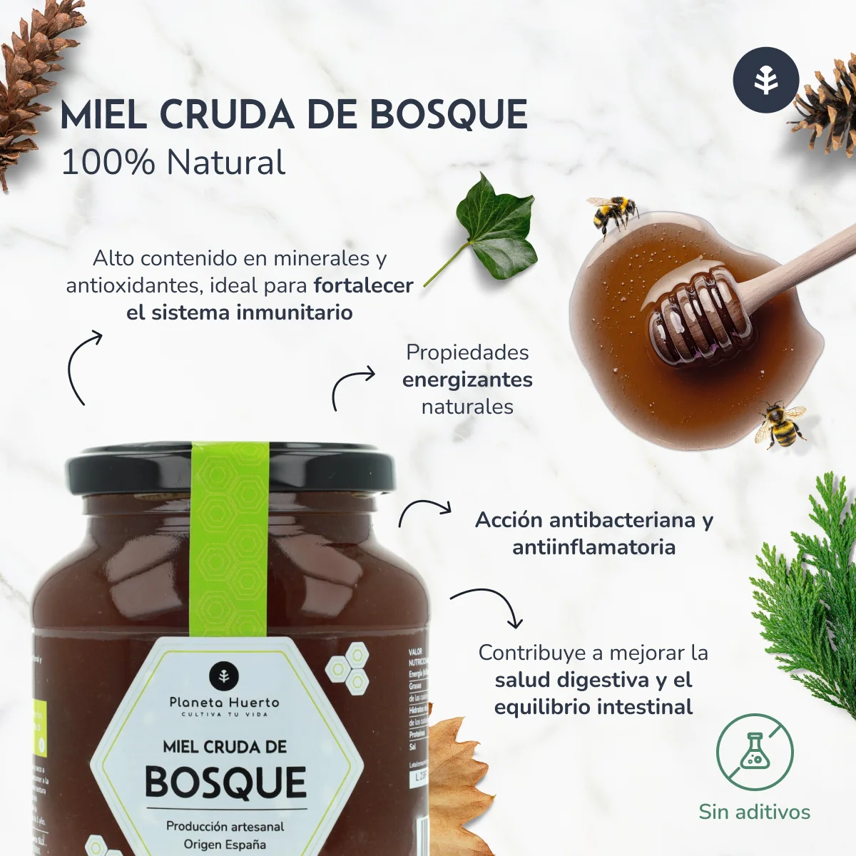 Pack 6x Miel Cruda de Bosque Planeta Huerto 500 gr - Image 4