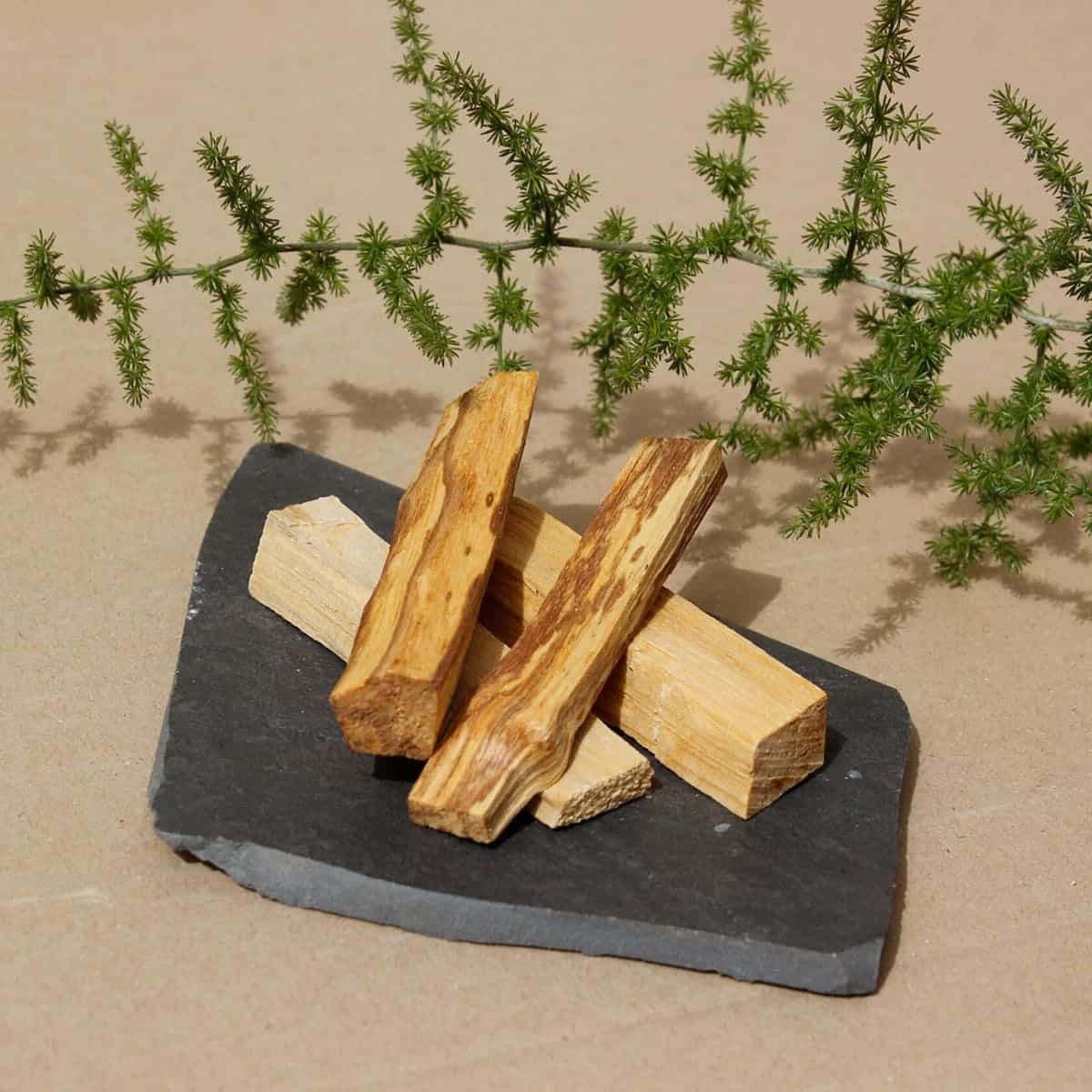 Palo Santo Natural 1 kg SYS Aromas | Madera Aromática | Purificación Ambiental | Uso Profesional - Image 2