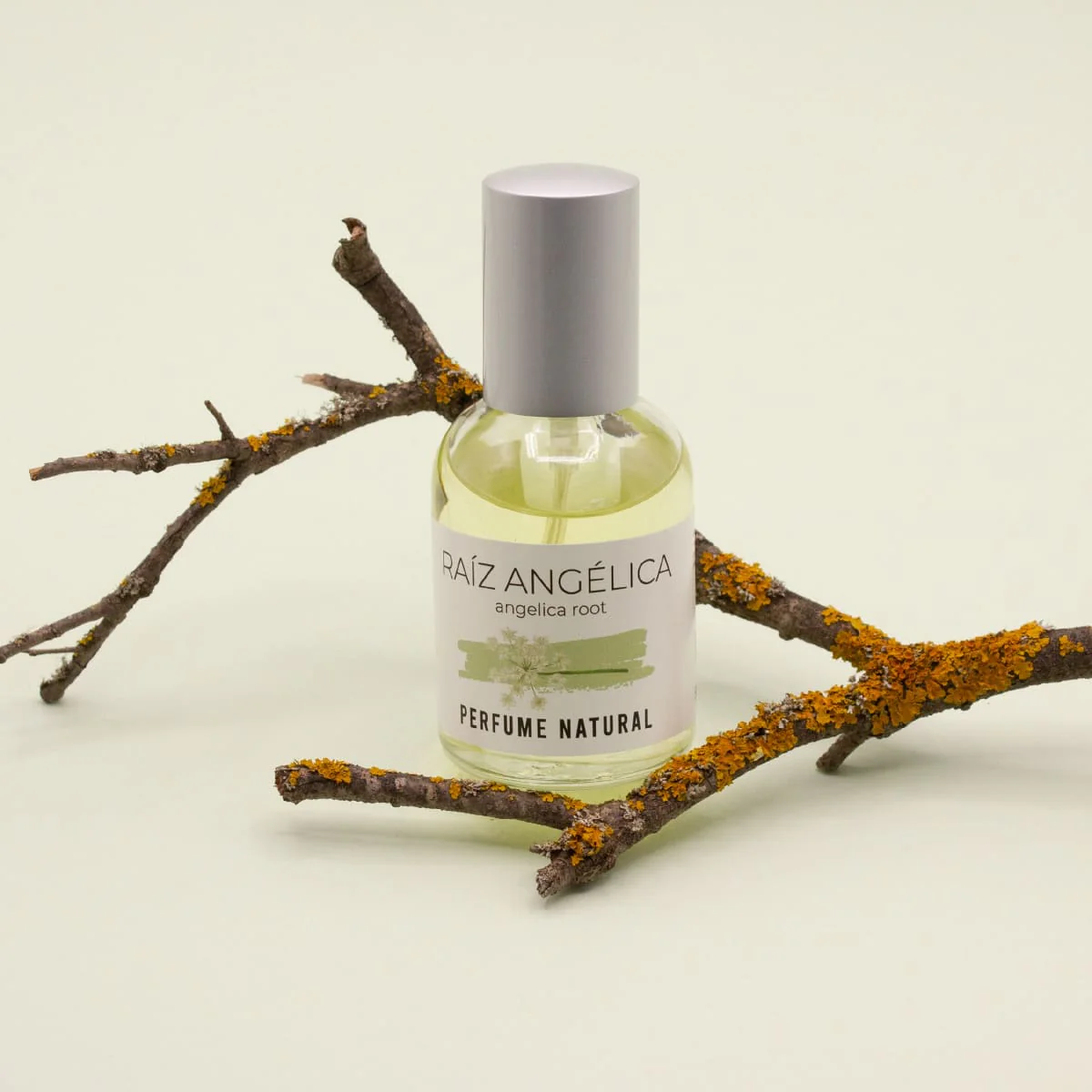 Perfume Natural Raíz De Angélica 50 Ml | Fragancia Herbal Y Aromática | Aroma Intenso Y Equilibrado | Perfume Duradero - Image 2
