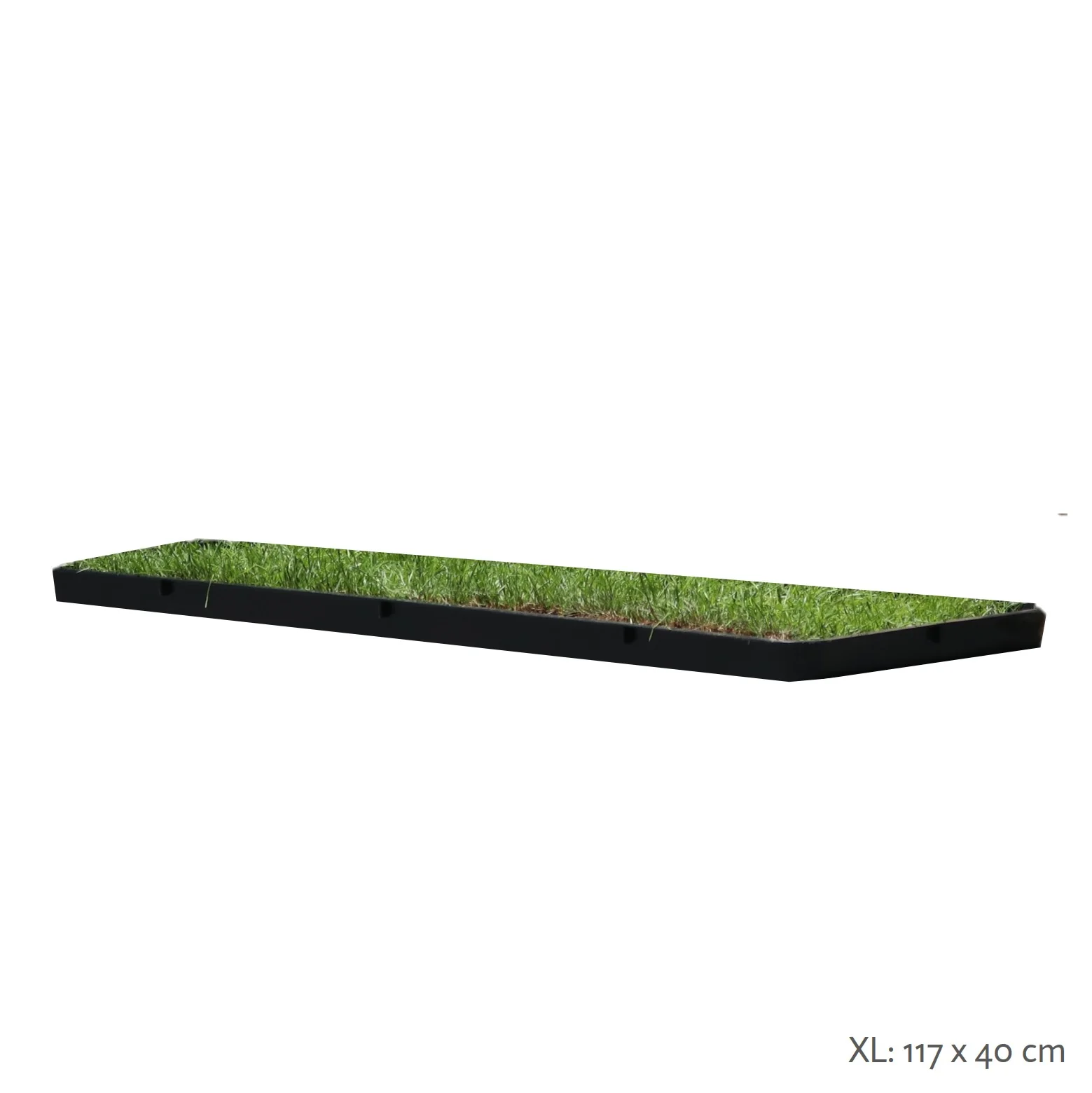 Petground, Arenero Para Gatos, Cama De Césped Natural, Hierba Gatera, Alfombra Olfativa Xxl Xxl: 80 X 80 Cm - Image 3
