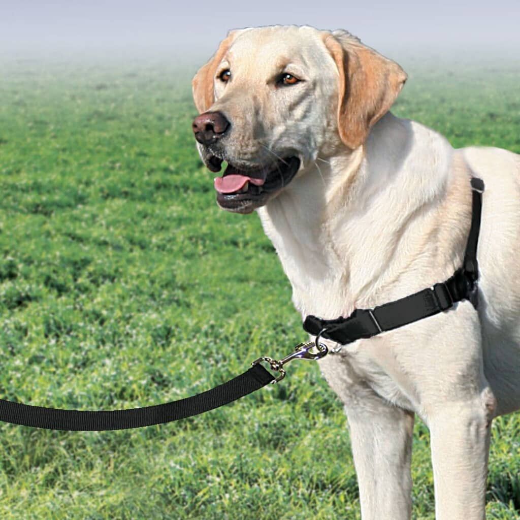 Petsafe Arnés Para Perros Easy Walk Negro L - Image 3