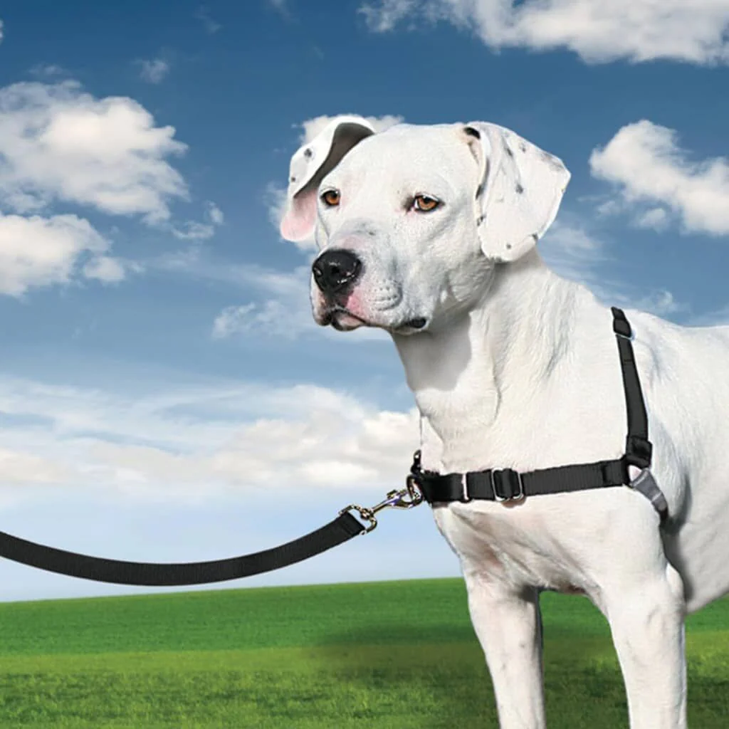 Petsafe Arnés Para Perros Easy Walk Negro M - Image 3