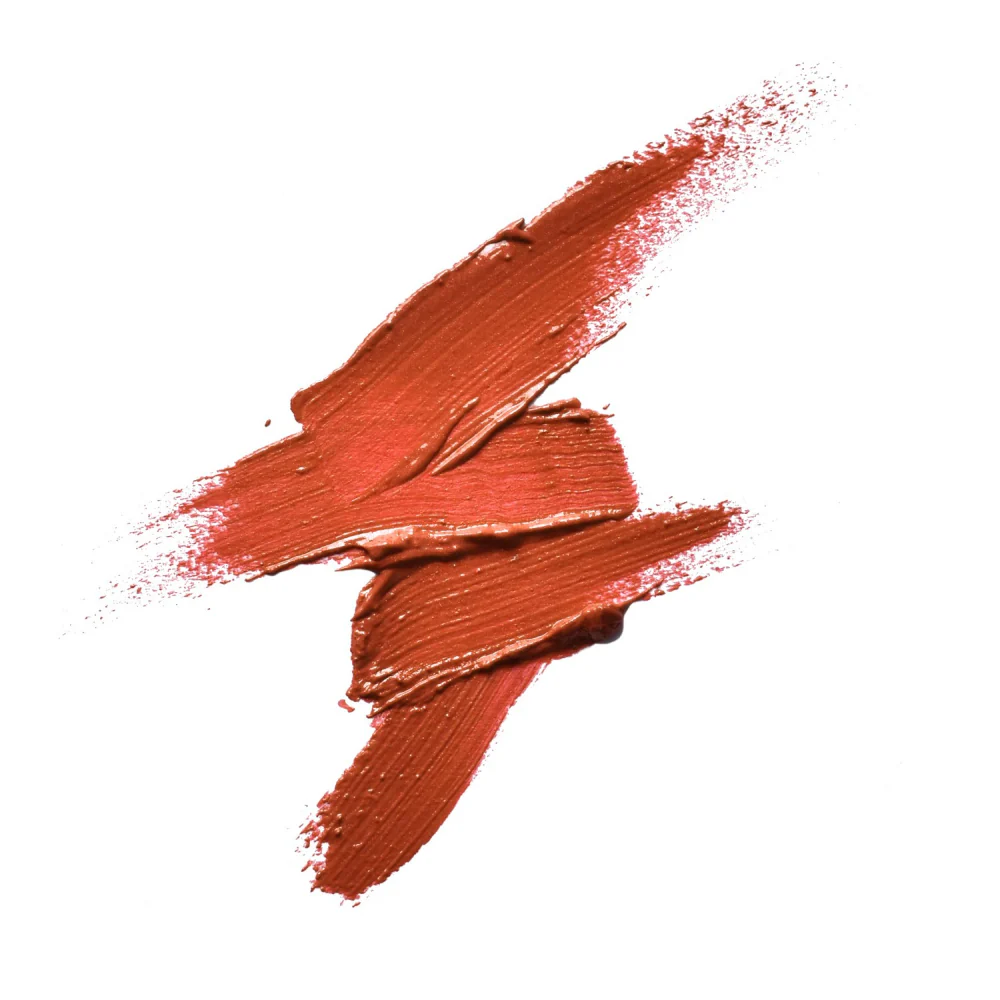Pintalabios Nude Terra Basic Colourstick 4g Camaleon Cosmetics - Image 2