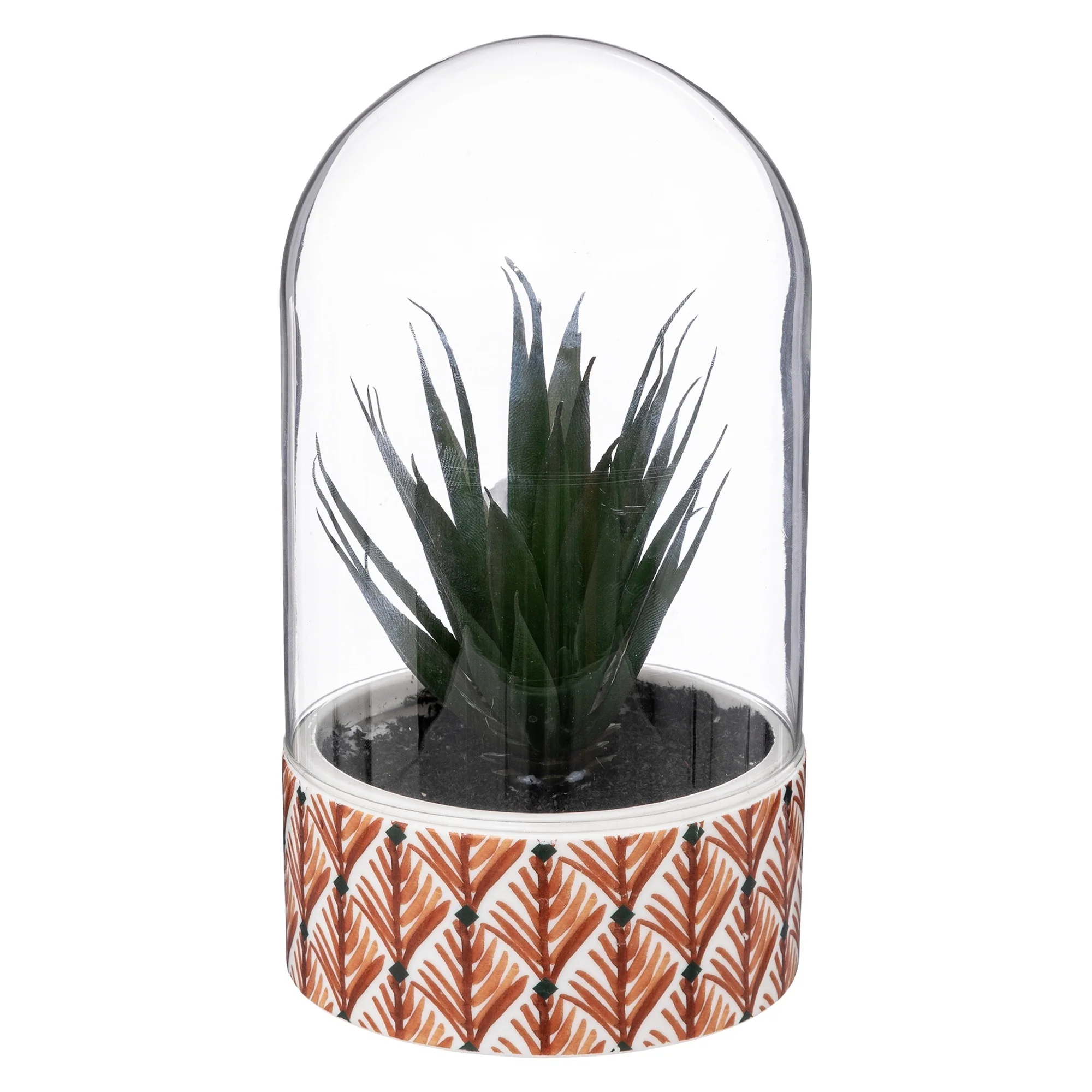 Planta ali Cloche H21cm - Image 2