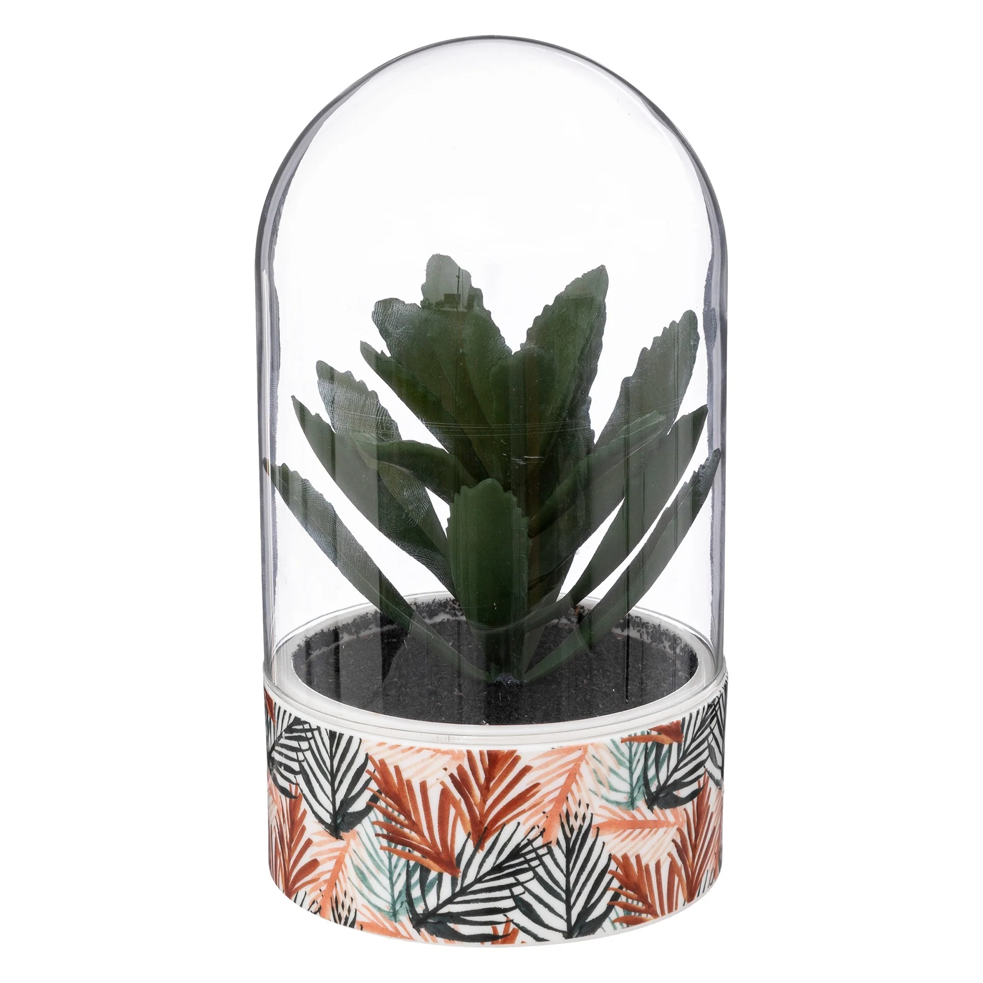 Planta ali Cloche H21cm - Image 3