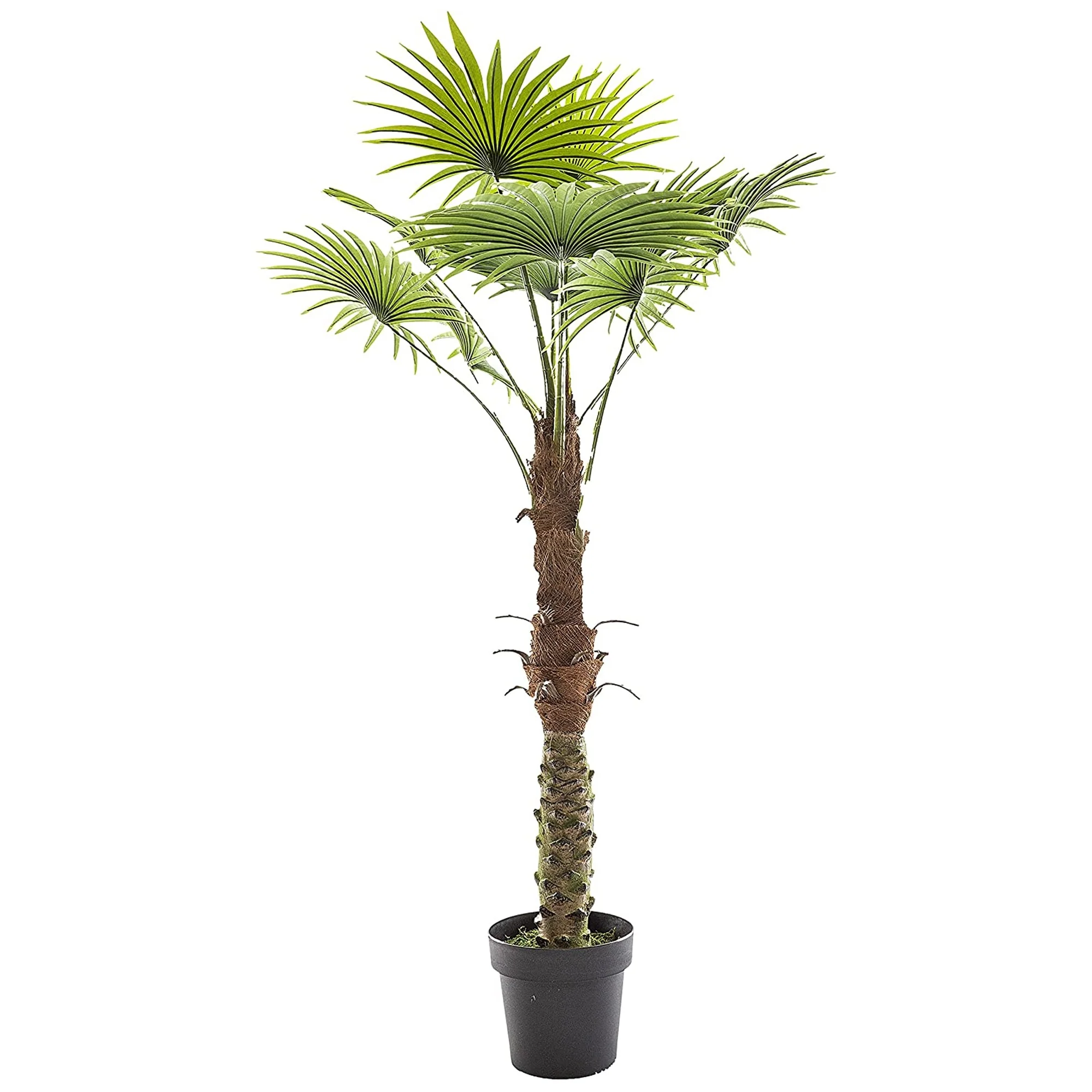 Planta Decorativa Tronco De Palmera - Image 3