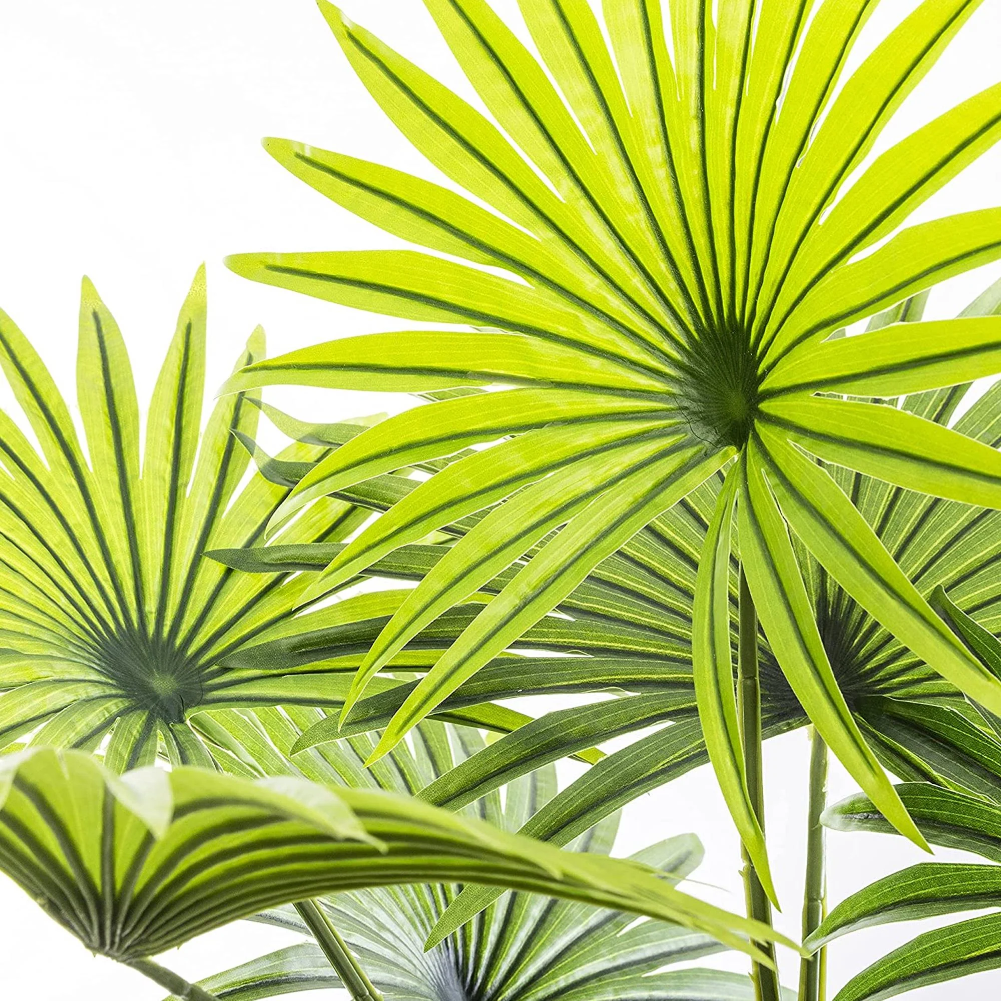 Planta Decorativa Tronco De Palmera - Image 4