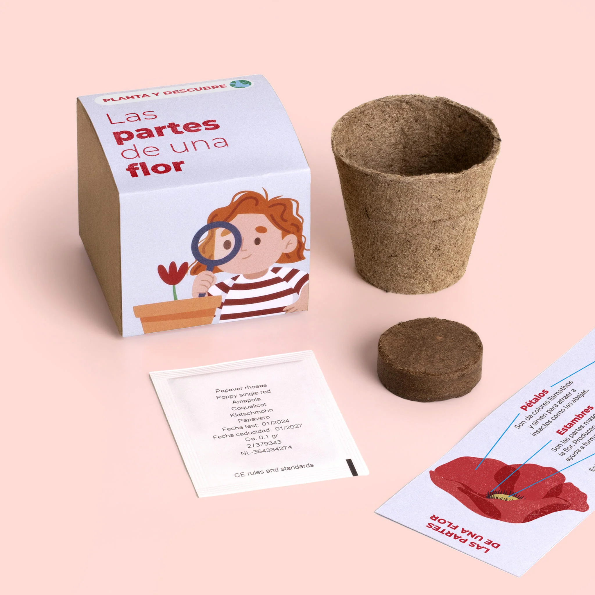 Planta Y Descubre | Kit Educativo Partes De Una Flor | Aprende Botánica Paso A Paso Para Niños (stem) - Image 2