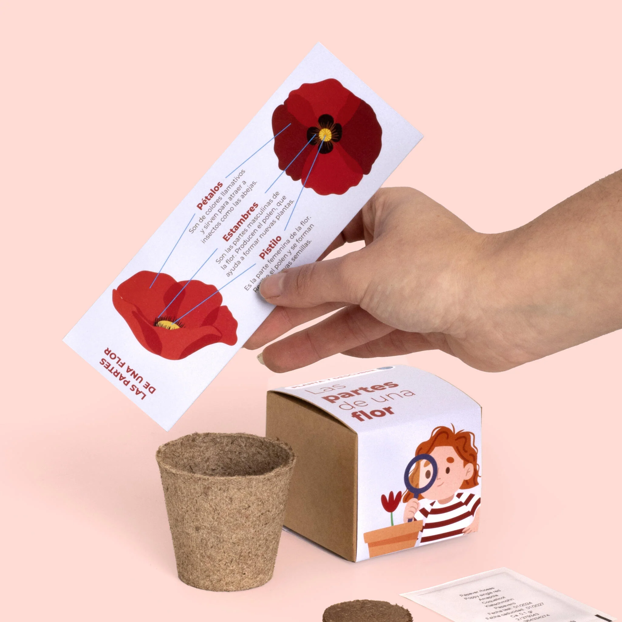 Planta Y Descubre | Kit Educativo Partes De Una Flor | Aprende Botánica Paso A Paso Para Niños (stem) - Image 4