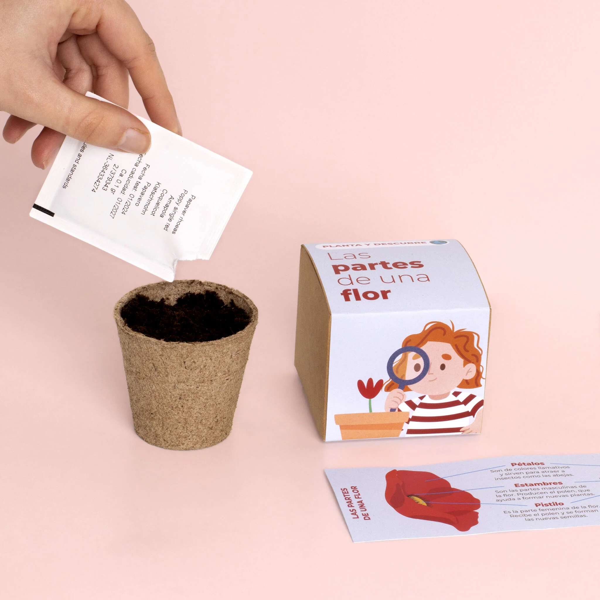 Planta Y Descubre | Kit Educativo Partes De Una Flor | Aprende Botánica Paso A Paso Para Niños (stem) - Image 5