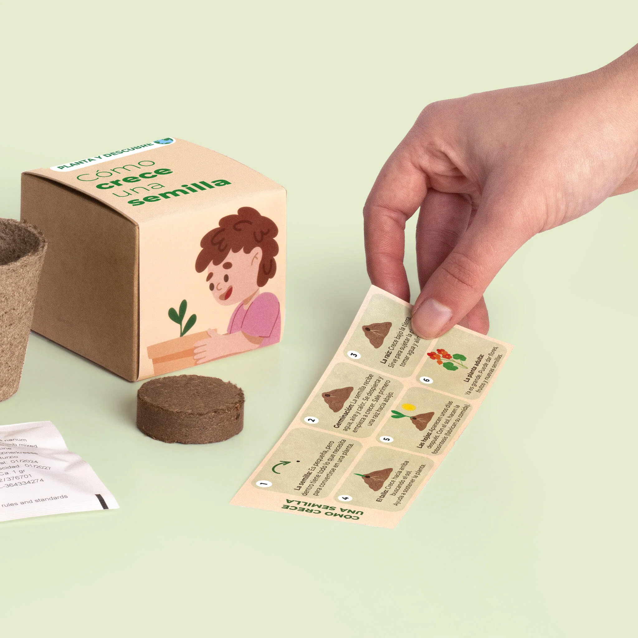 Planta Y Descubre | Kit Germinación Para Niños | Aprende Cómo Crece Una Semilla Paso A Paso (stem) - Image 4
