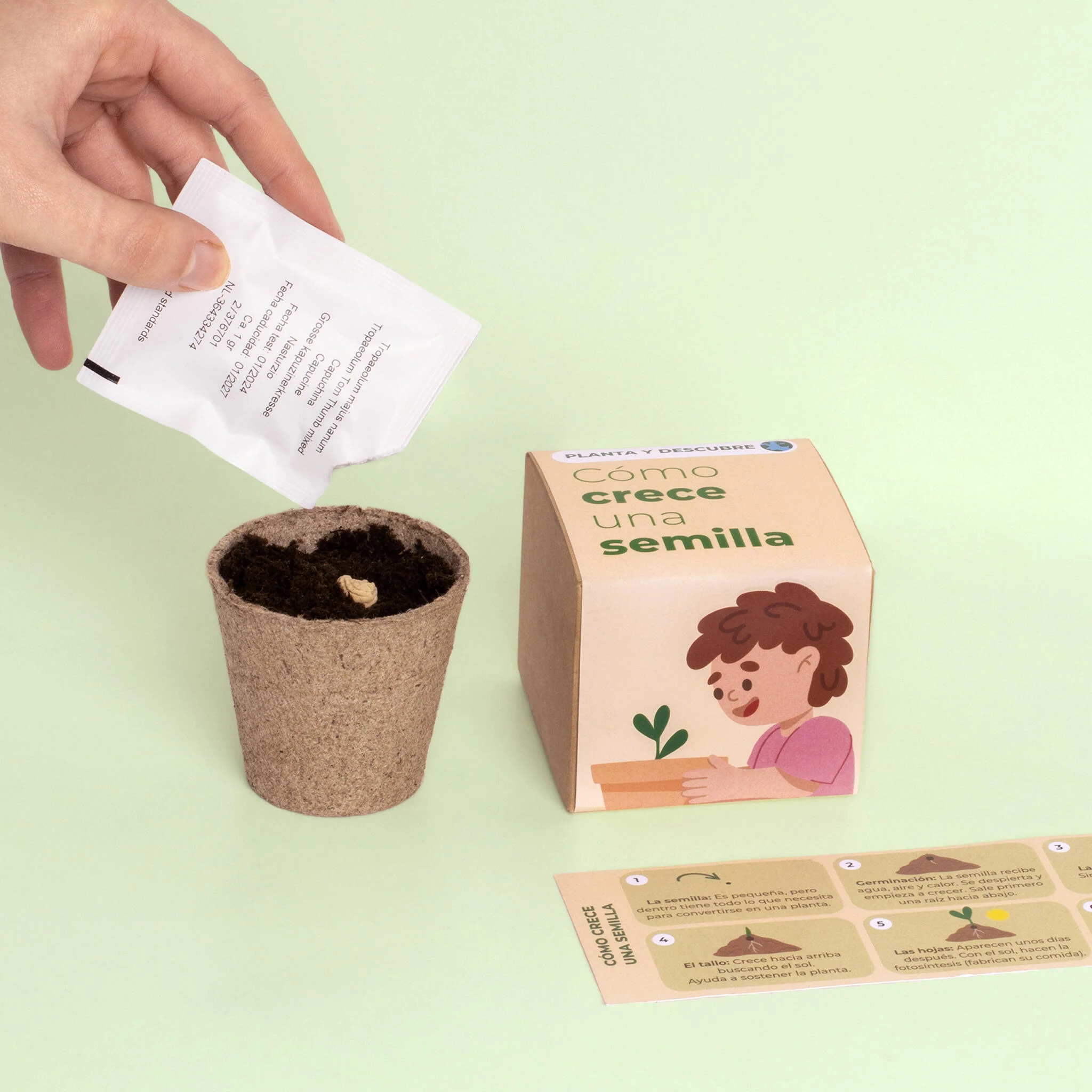 Planta Y Descubre | Kit Germinación Para Niños | Aprende Cómo Crece Una Semilla Paso A Paso (stem) - Image 5