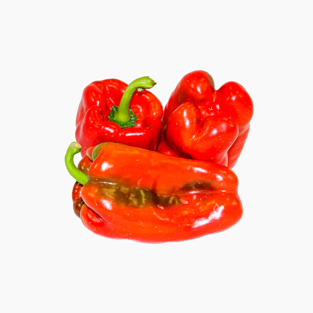 Plantón Pimiento Rojo 2 Unidades - Plantabo - Image 2