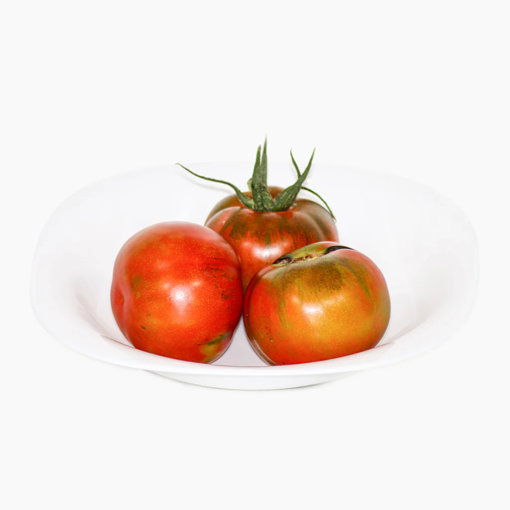 Plantón Tomate Pometa 6 Unidades - PlantaBo - Image 2